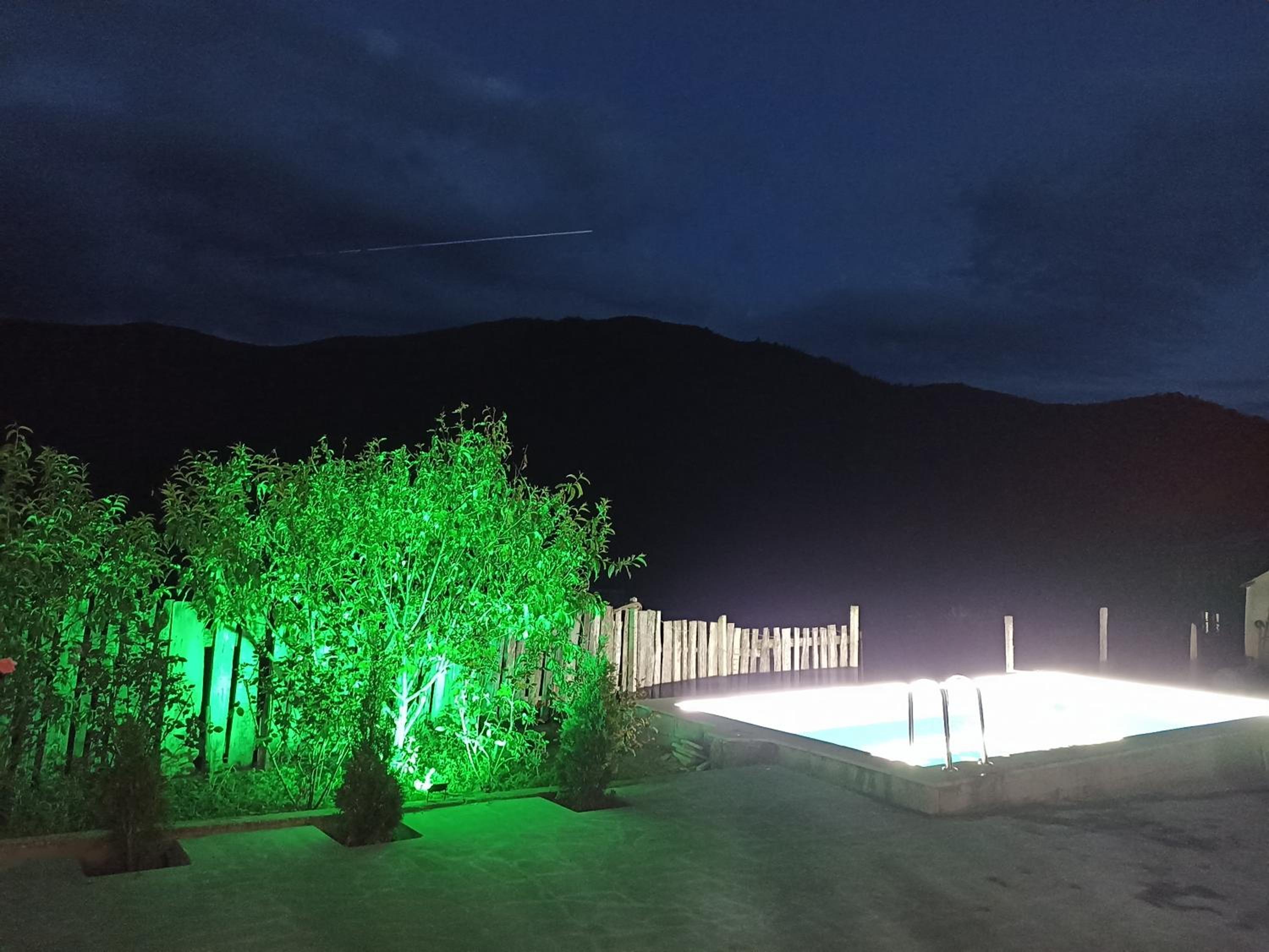 Green Paradise
