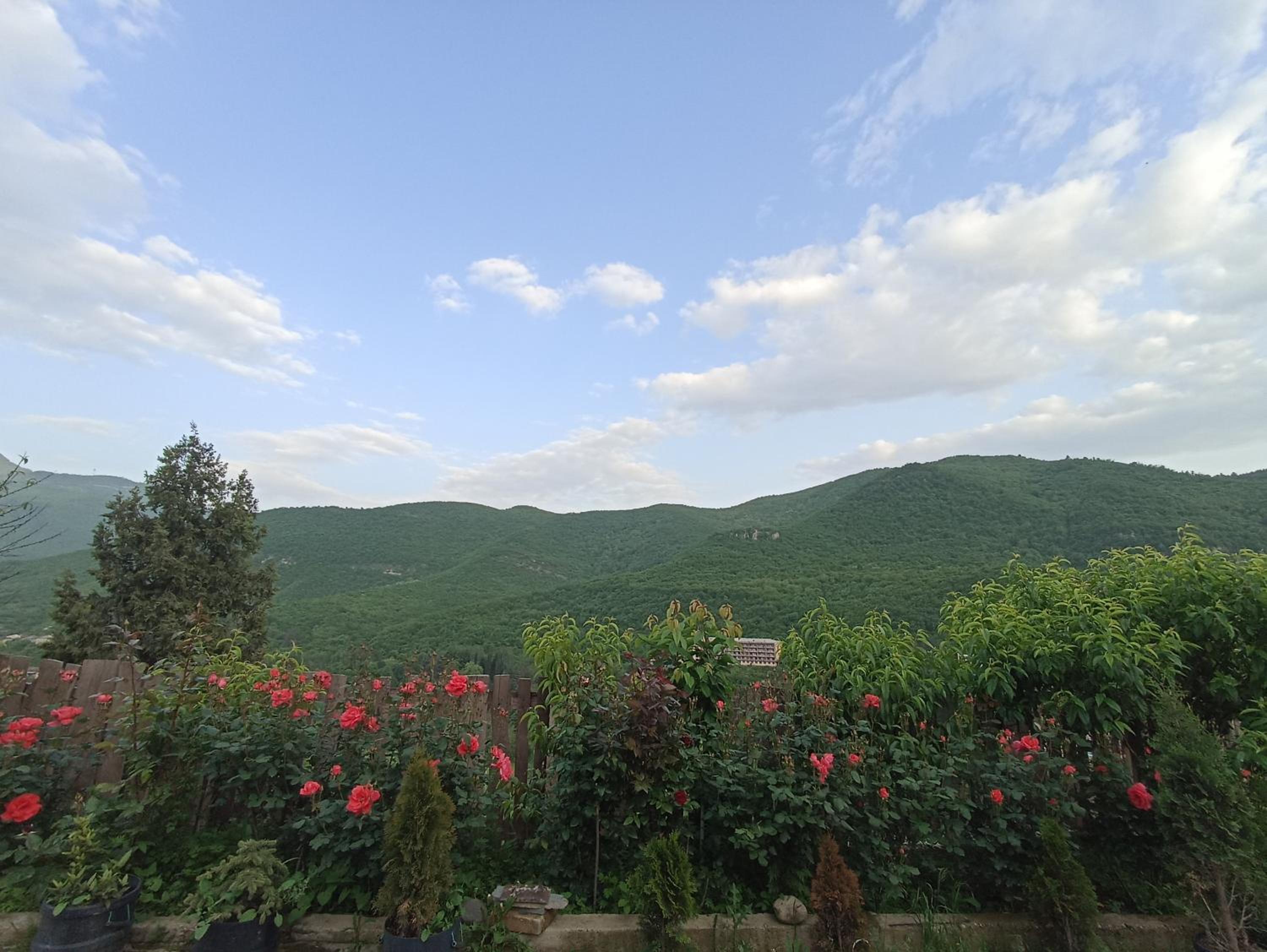 Green Paradise