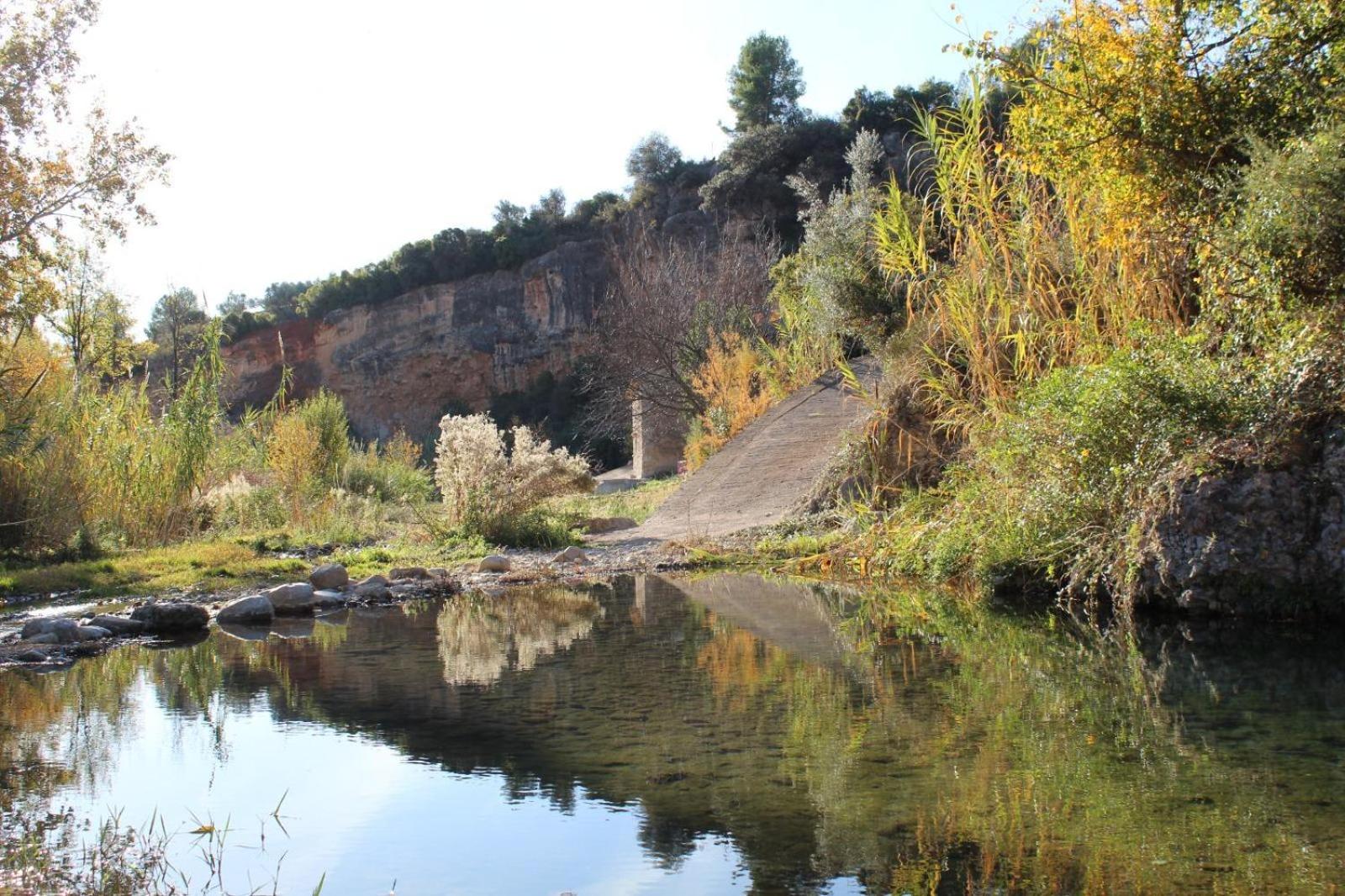 Photo 26