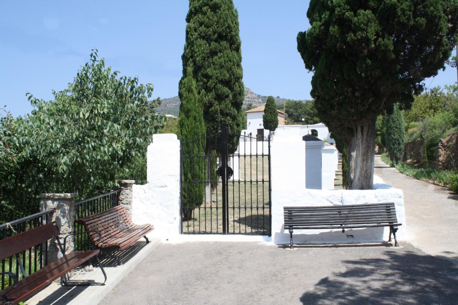 Photo 21