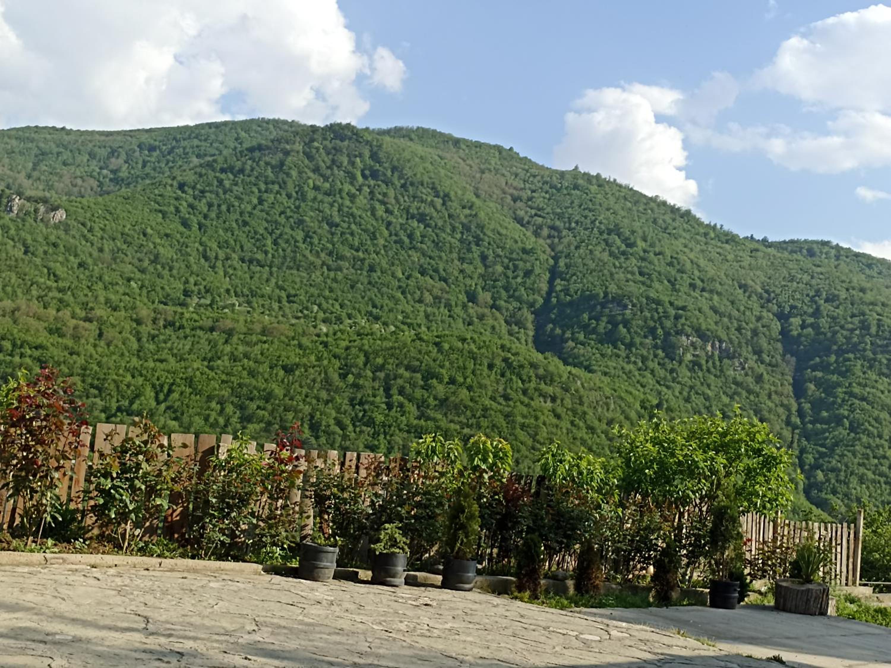 Green Paradise