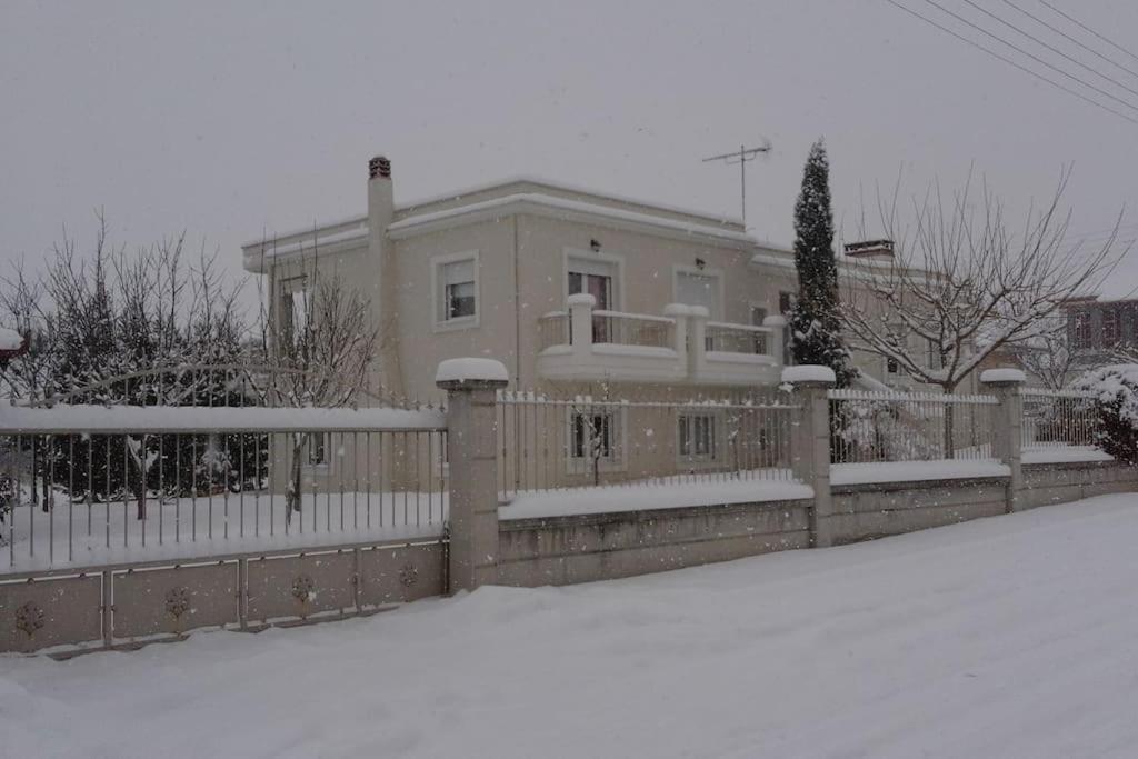 Vintage Garden House