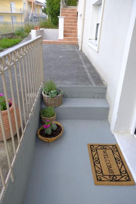 Vintage Garden House