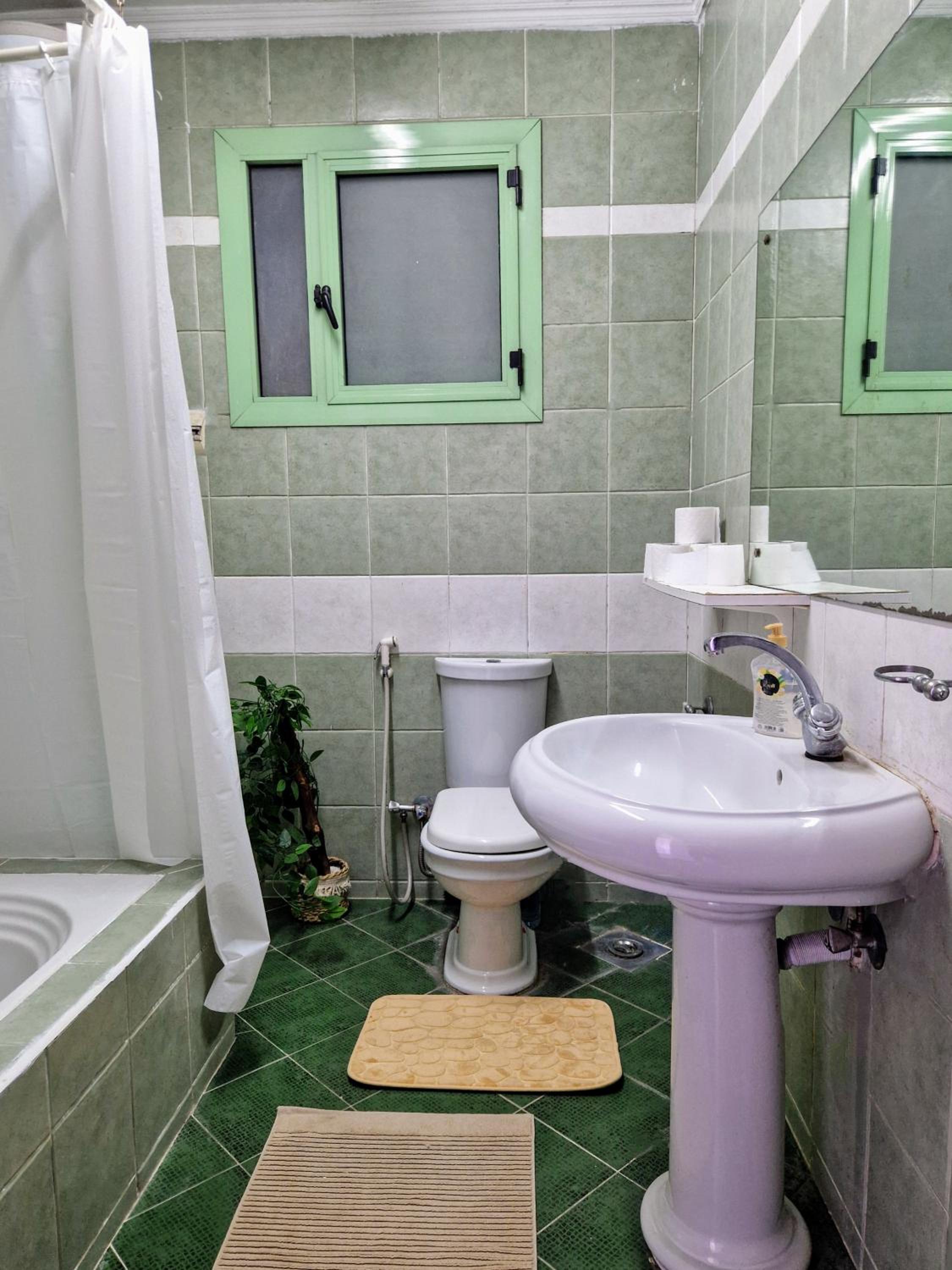 Tranquil Condo in Zamalek
