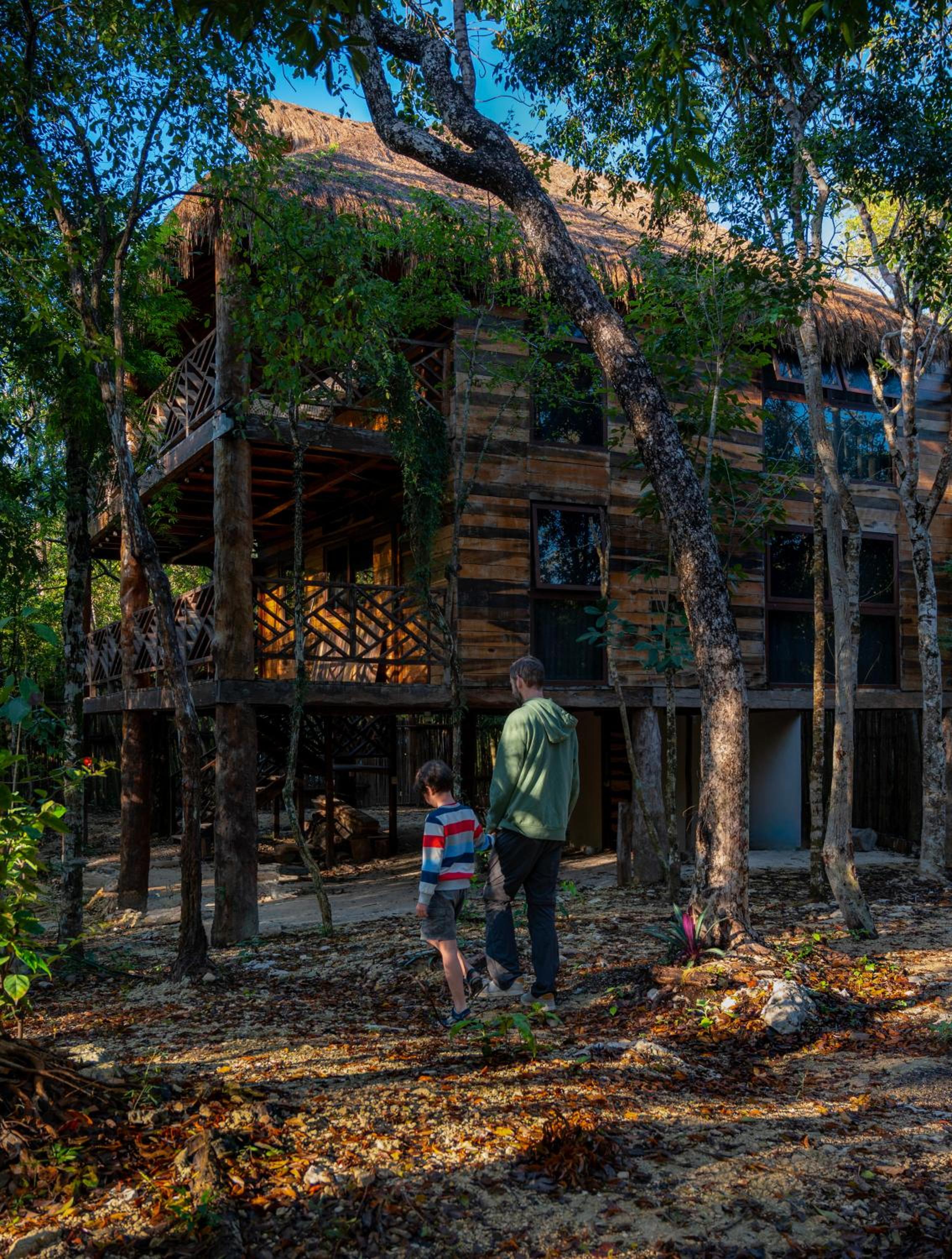 Treehouse Tulum H2Ojos view 3