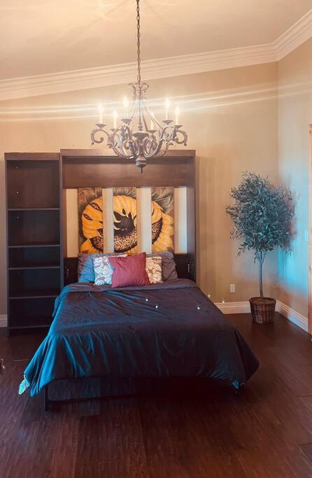 Gorgeous Private Estate with Pool & Pickleball Court