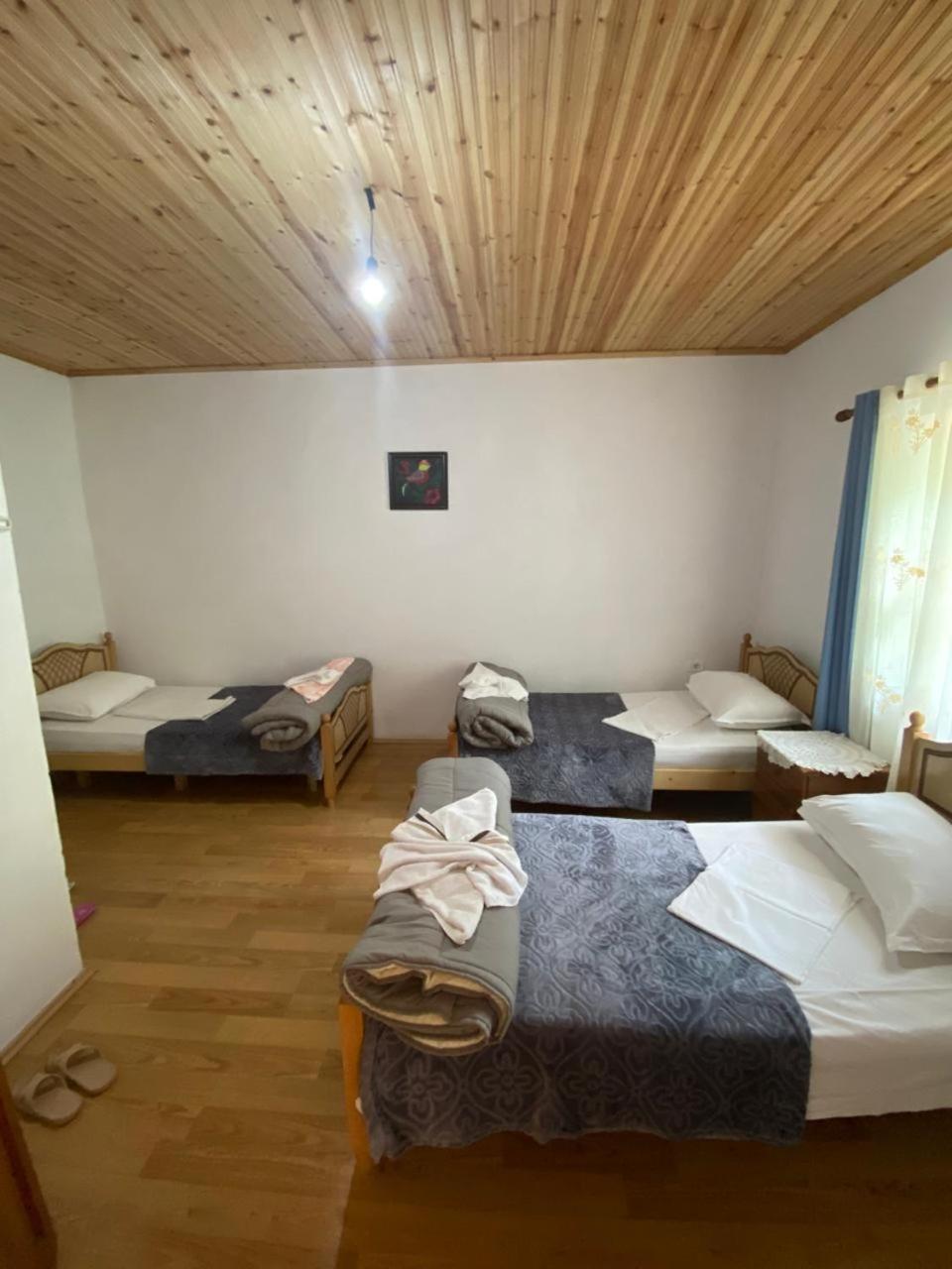 Mikel Center Theth Guesthouse