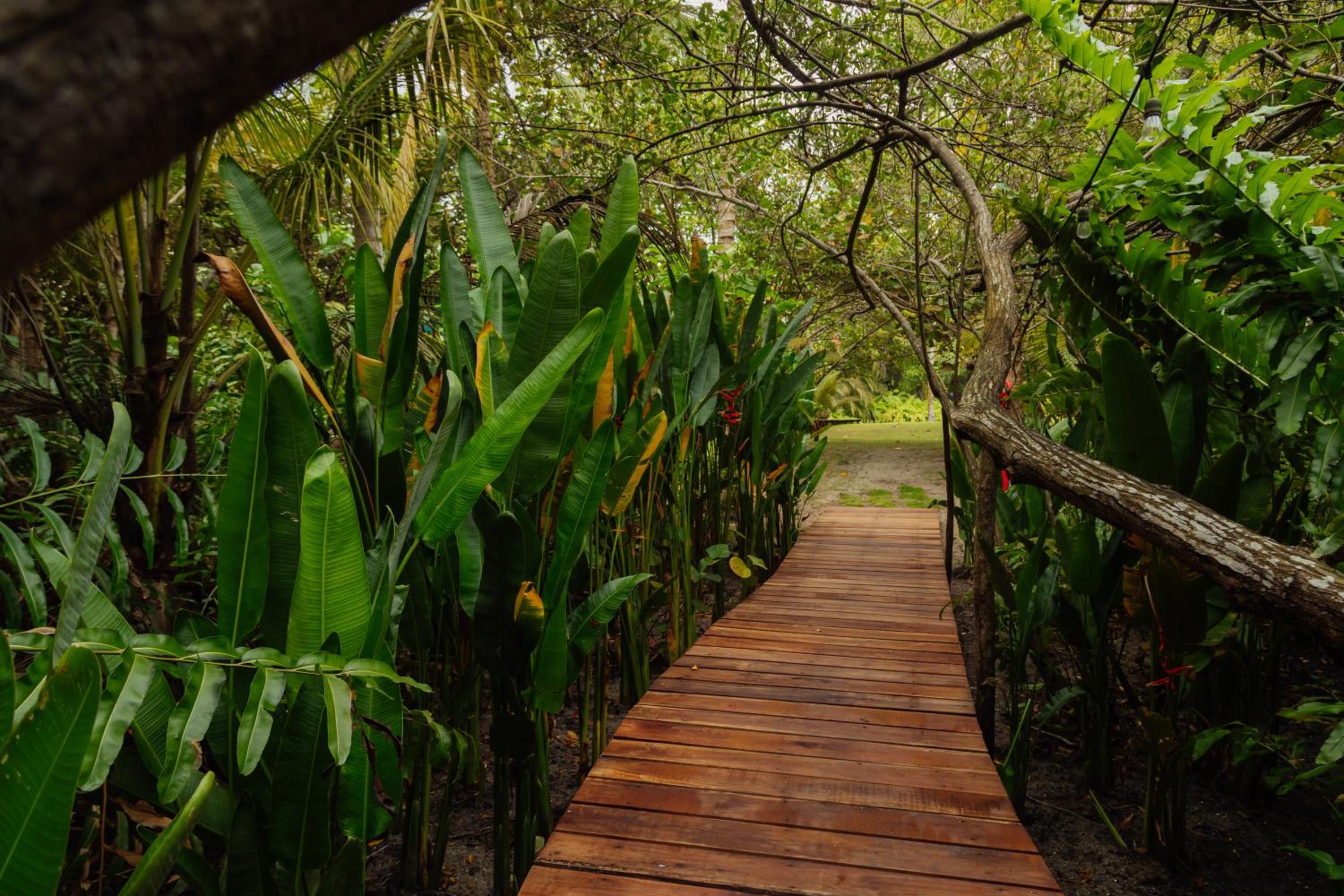 Solea Villa Tropical