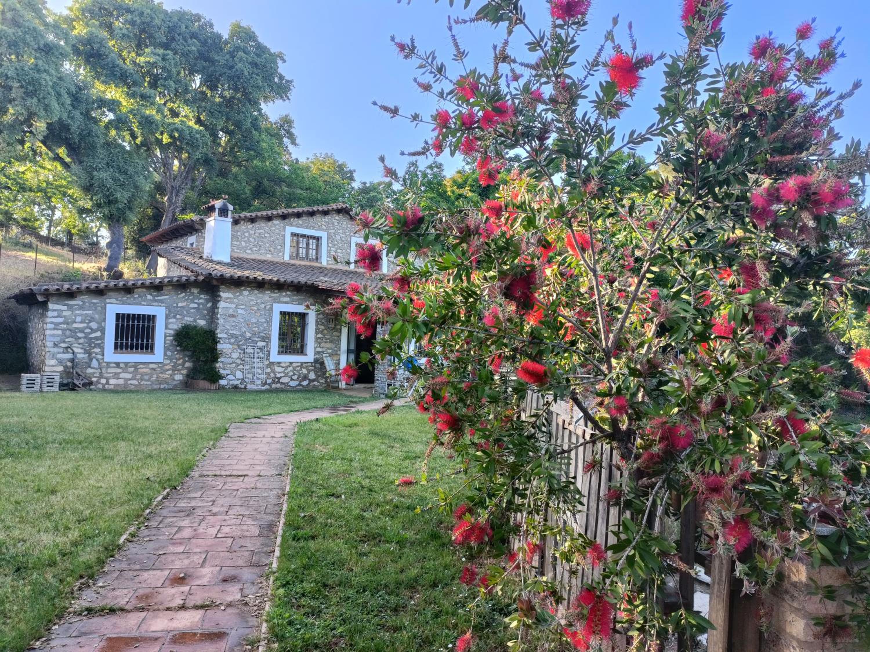 Las Mariquitas