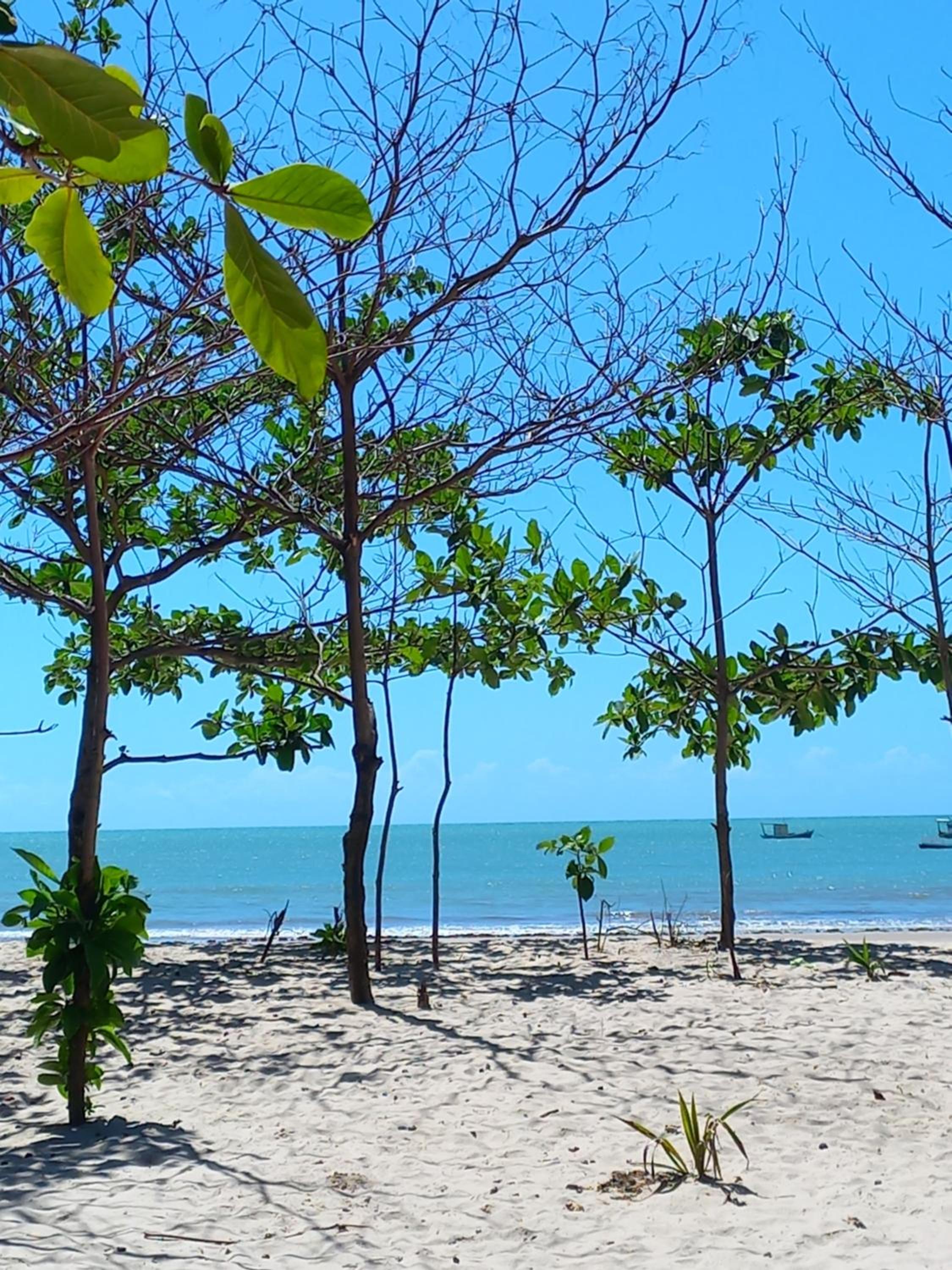 Flat praia Bessa conforto localização e seguro