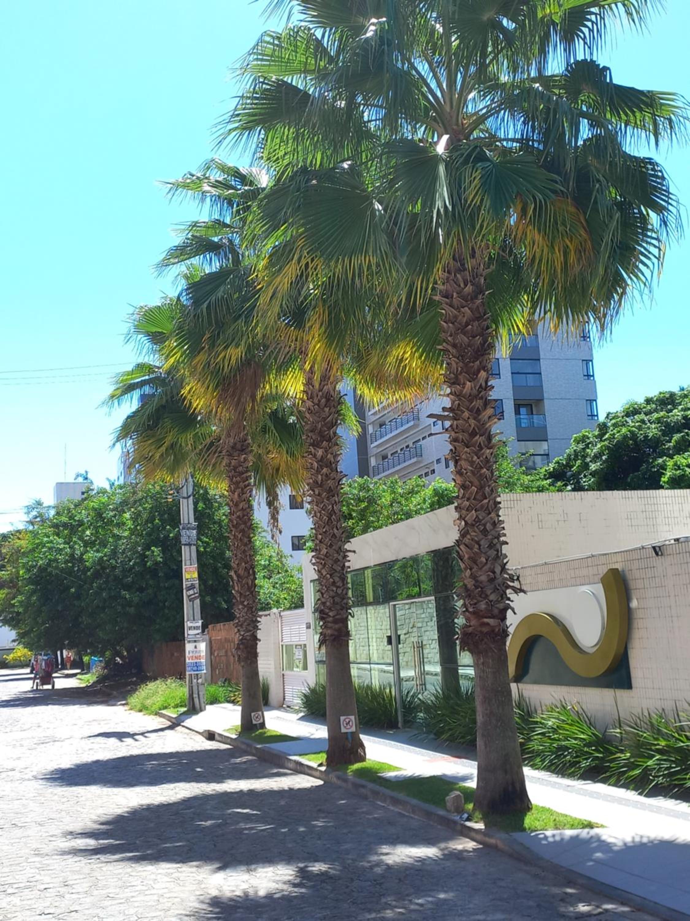 Flat praia Bessa conforto localização e seguro