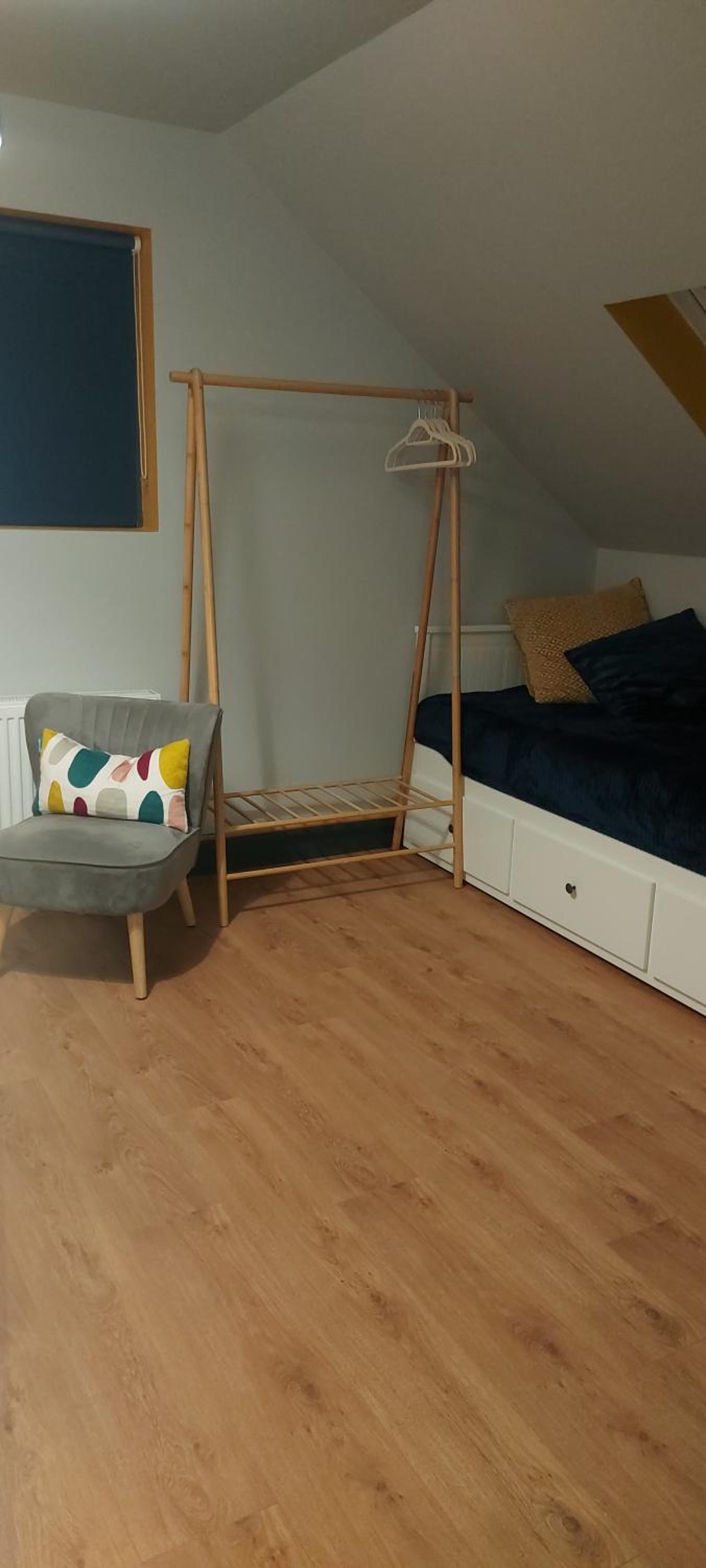 Lovely Laois Loft Apartment view 5