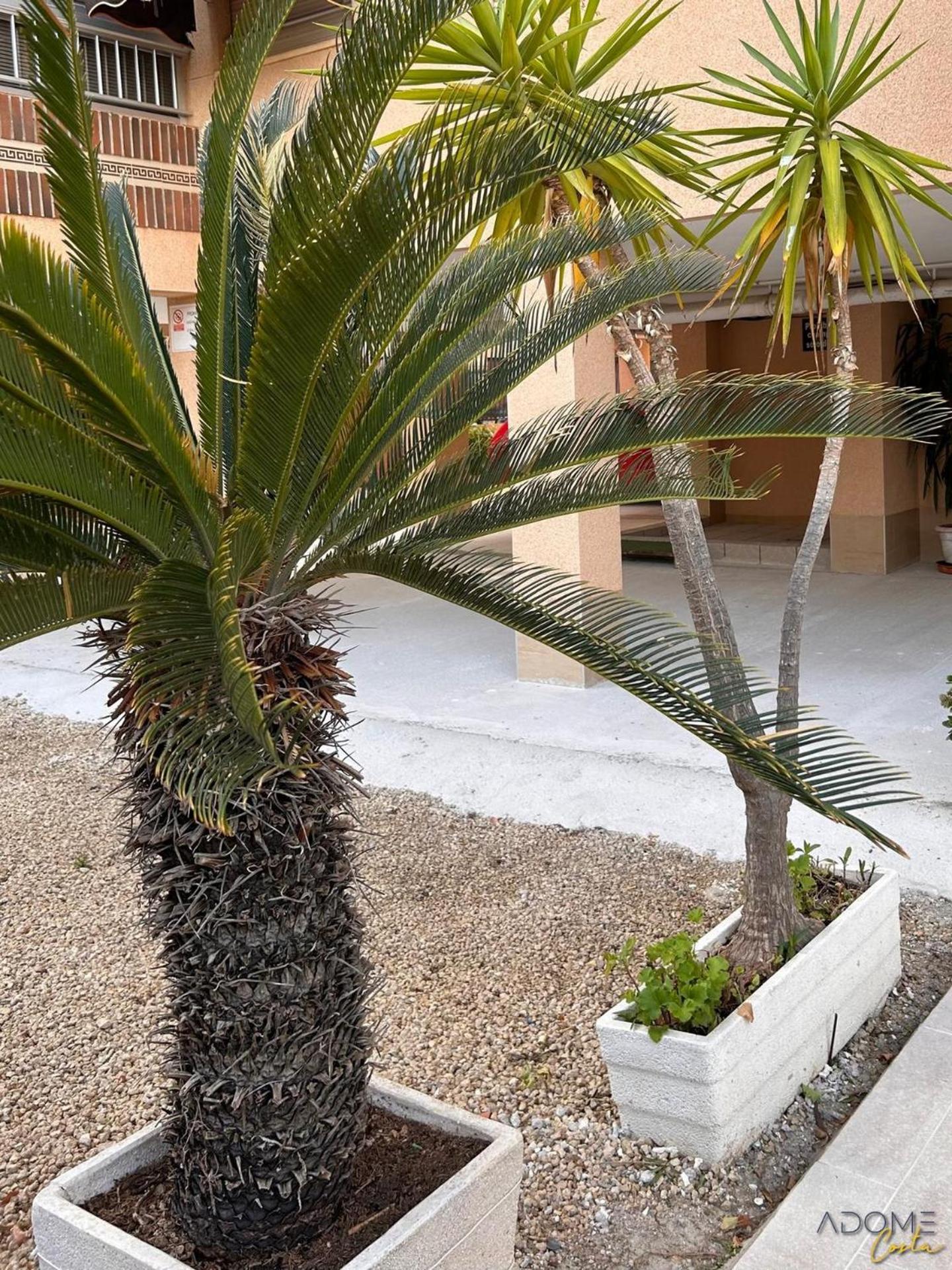 ADOME Apartment Primavera