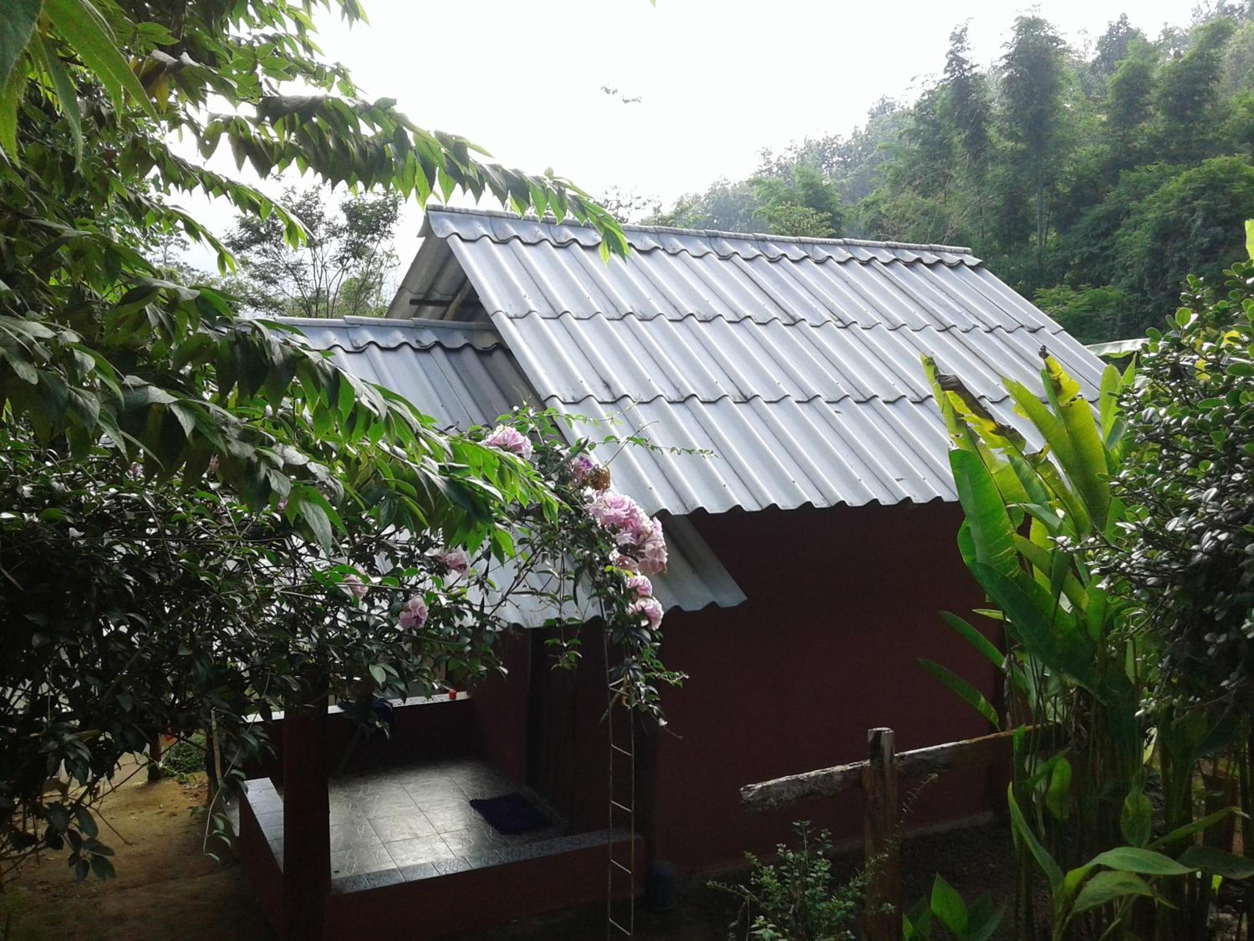 Forest Guesthouse
