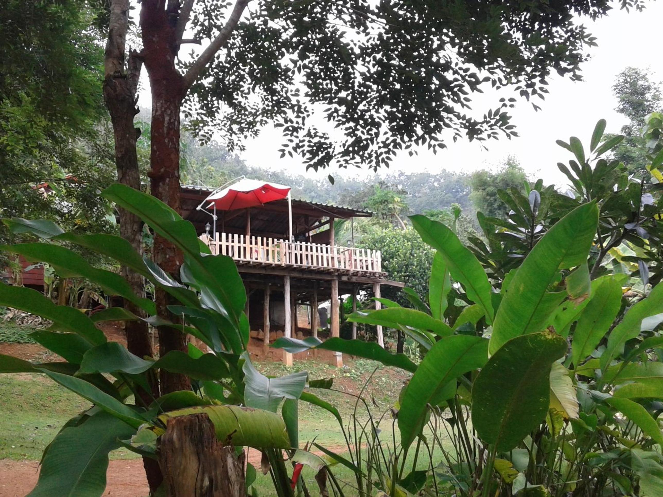 Forest Guesthouse