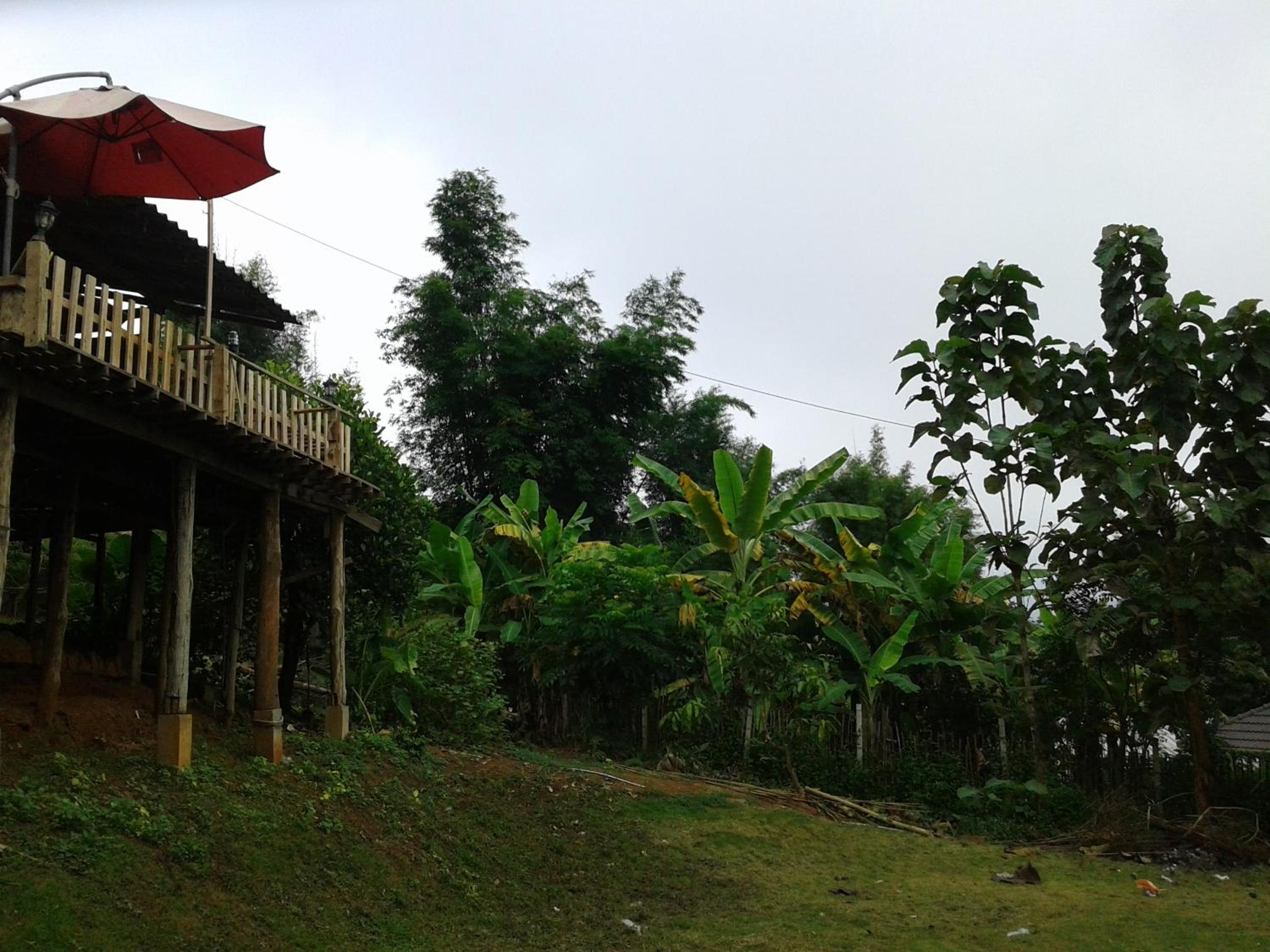 Forest Guesthouse