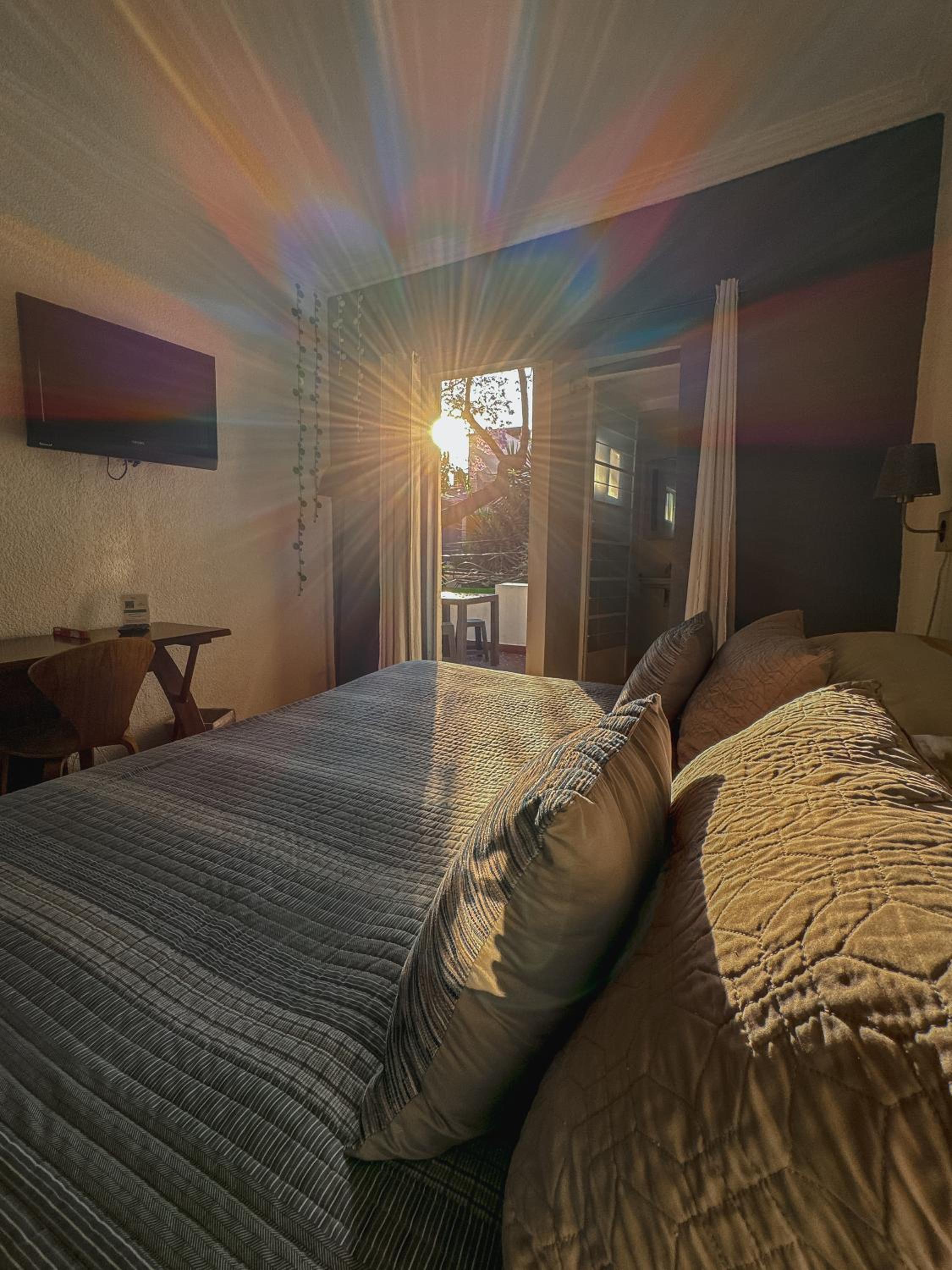 Distrito Condesa Rooms and Studios