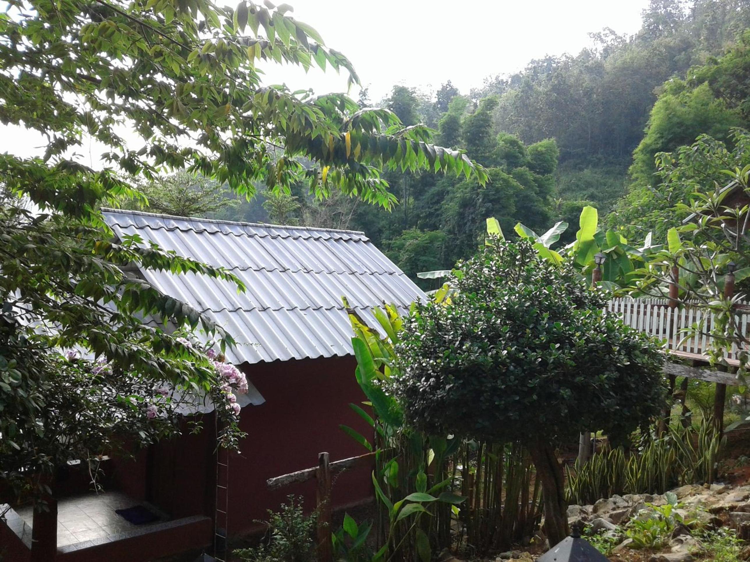 Forest Guesthouse