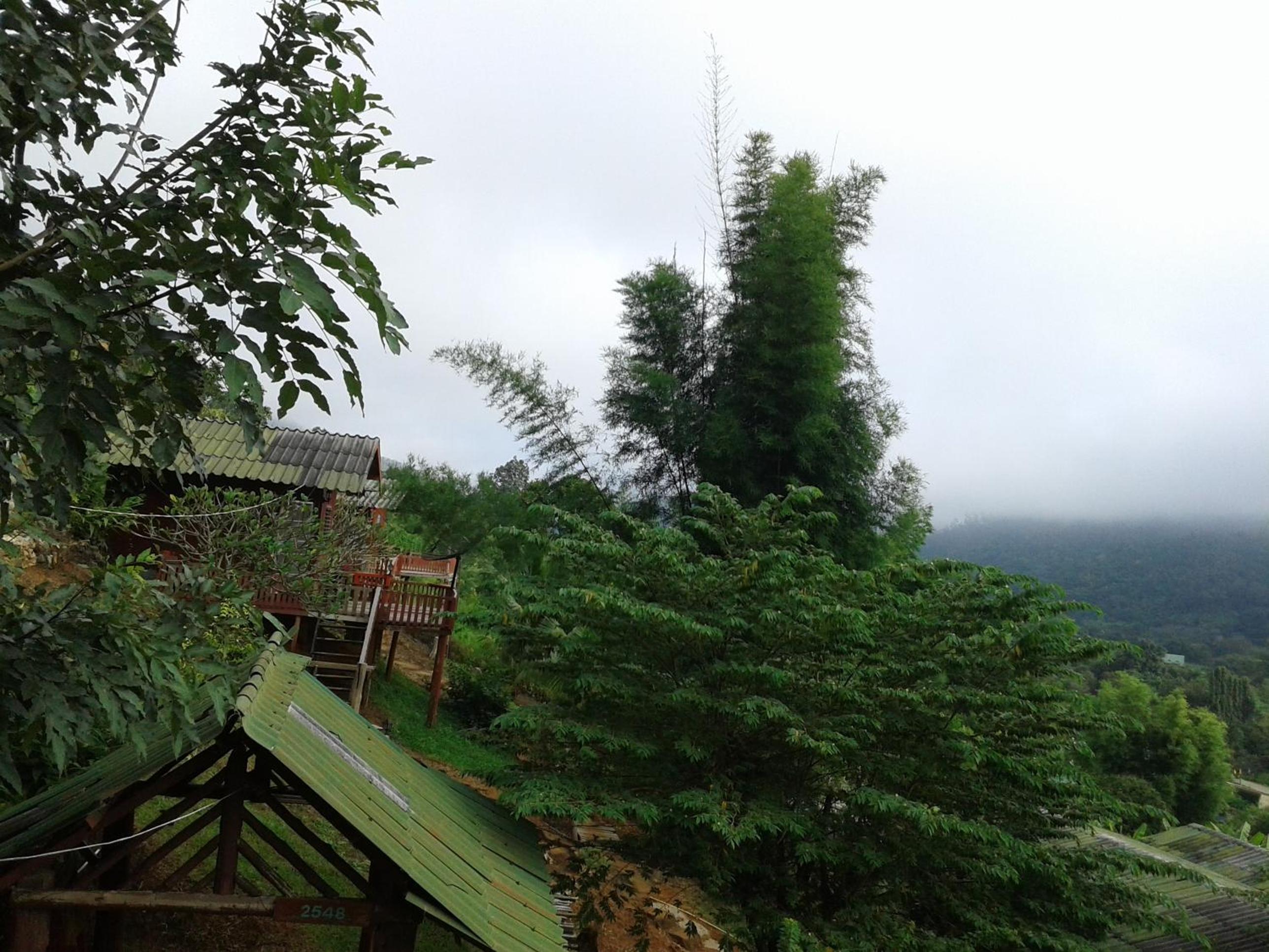 Forest Guesthouse