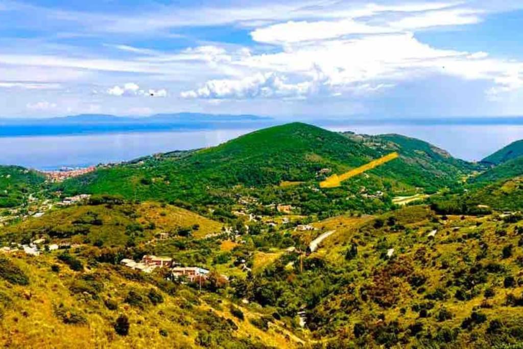 iL VICOLO NEL VERDE