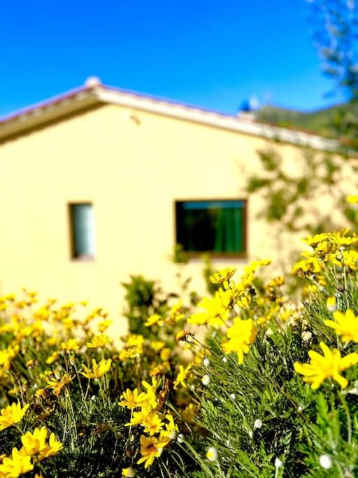 iL VICOLO NEL VERDE