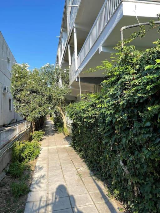 NAVIE GARDEN Getaway Peraia apartment near to beach - Property Image 15