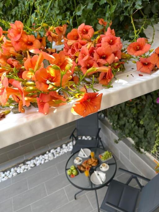 NAVIE GARDEN Getaway Peraia apartment near to beach - Property Image 4