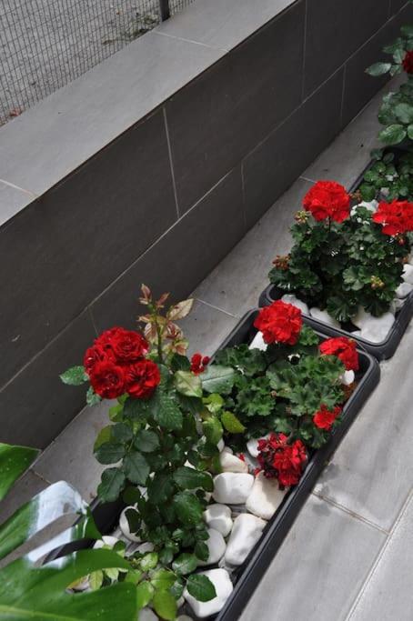 NAVIE GARDEN Getaway Peraia apartment near to beach - Property Image 8