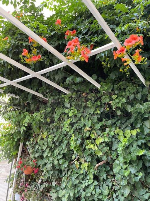 NAVIE GARDEN Getaway Peraia apartment near to beach - Property Image 5