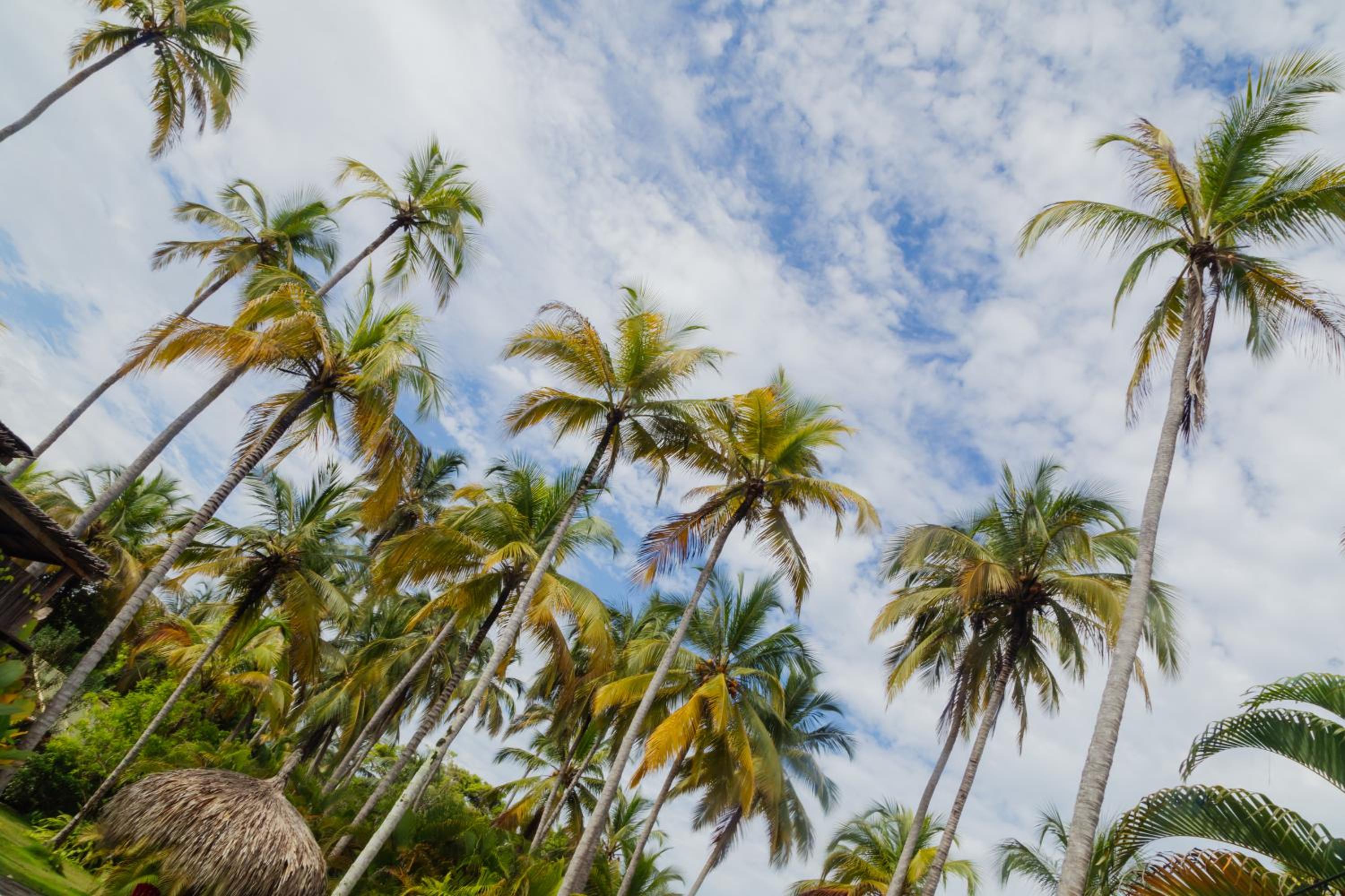 Solea Villa Tropical