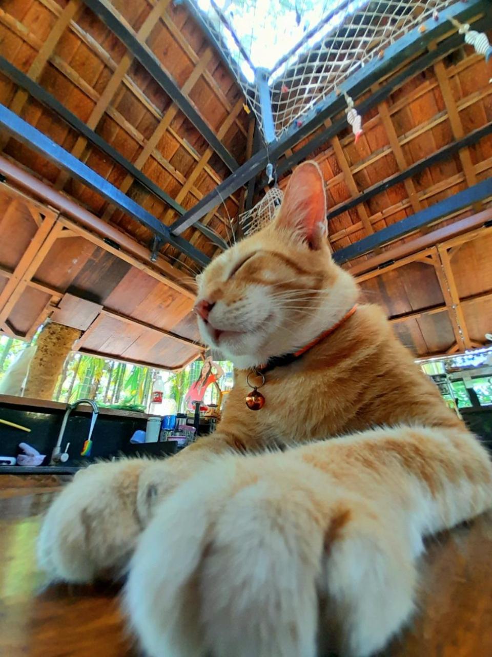 TINA LAKESIDE AO ĐÔI Homestay Phước Hải