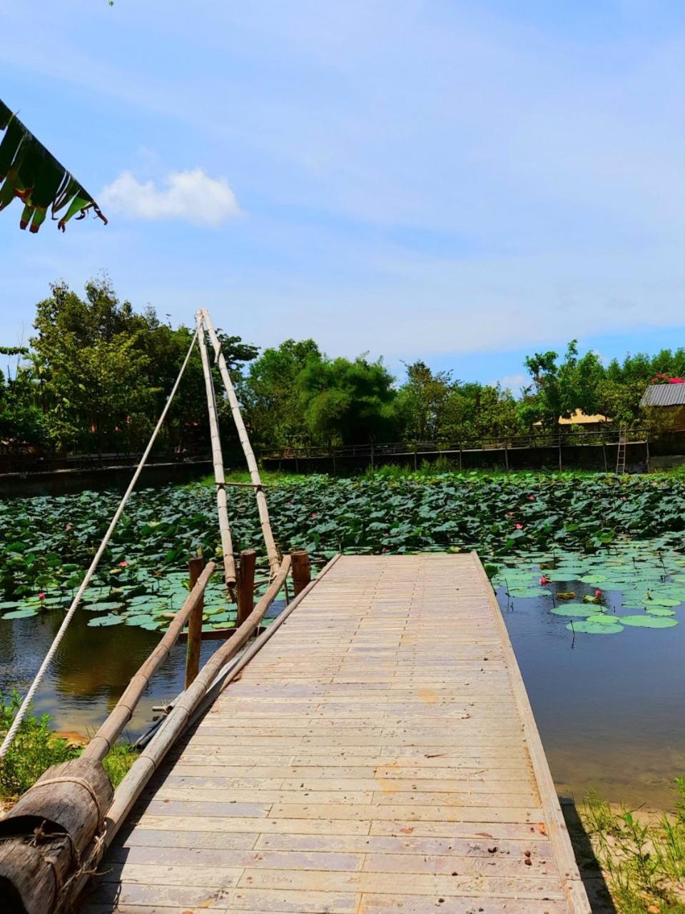 TINA LAKESIDE AO ĐÔI Homestay Phước Hải