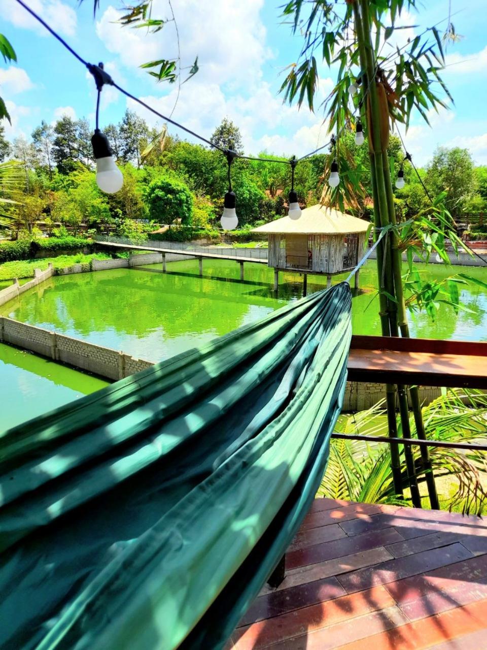 TINA LAKESIDE AO ĐÔI Homestay Phước Hải