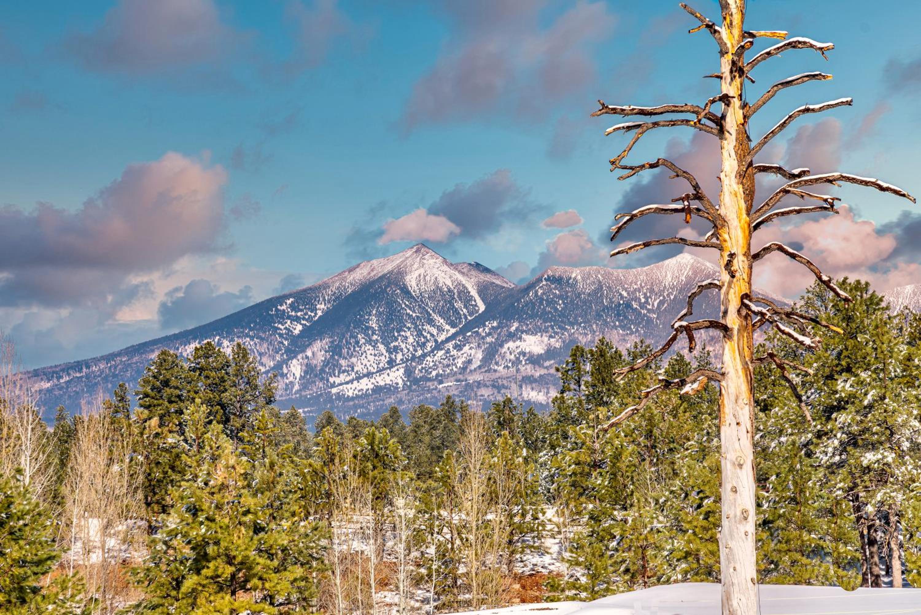 New Flagstaff Adventure Getaway