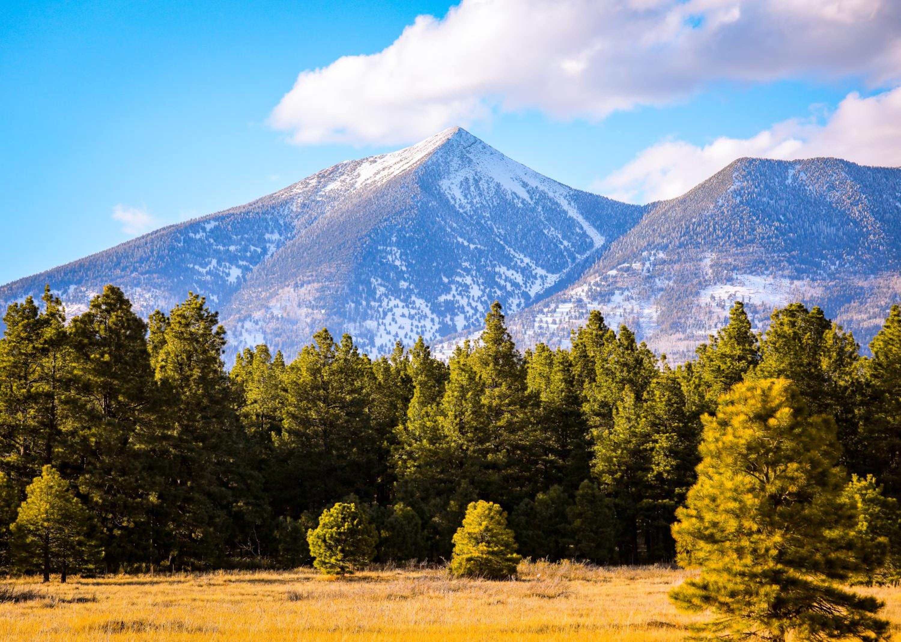 New Flagstaff Adventure Getaway