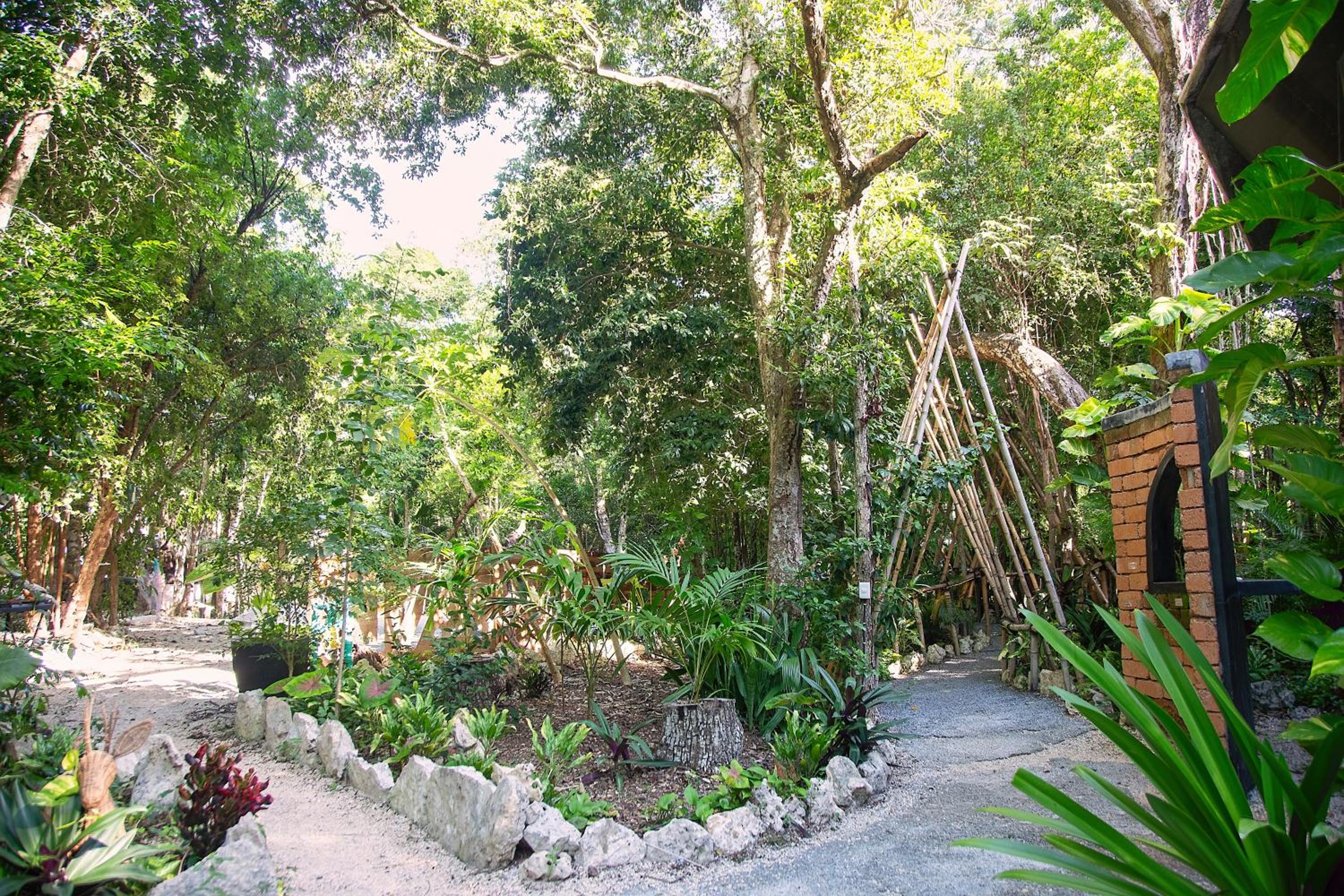 Ekumal Retreat Eco Sanctuary