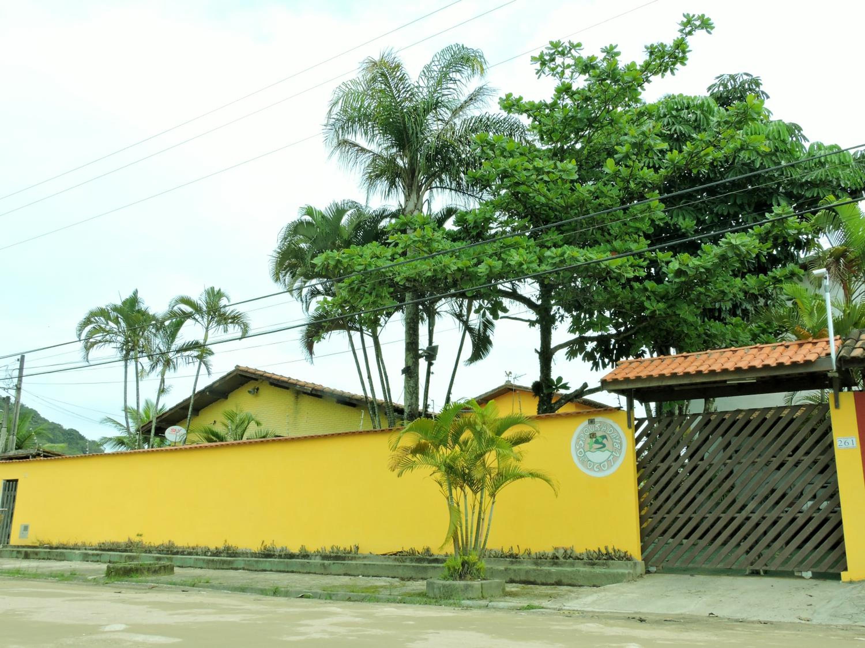 Photo 43