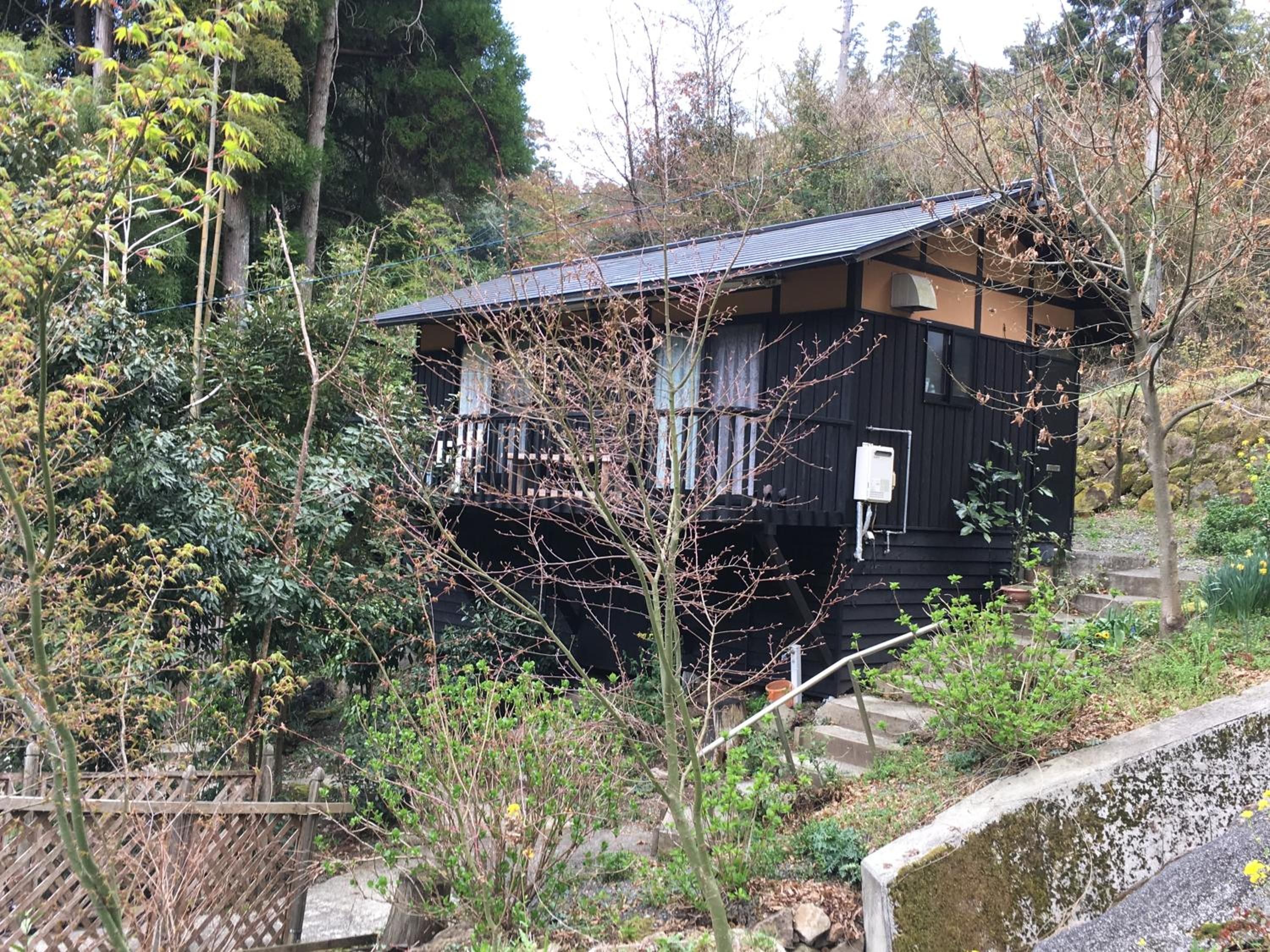 nanakoya