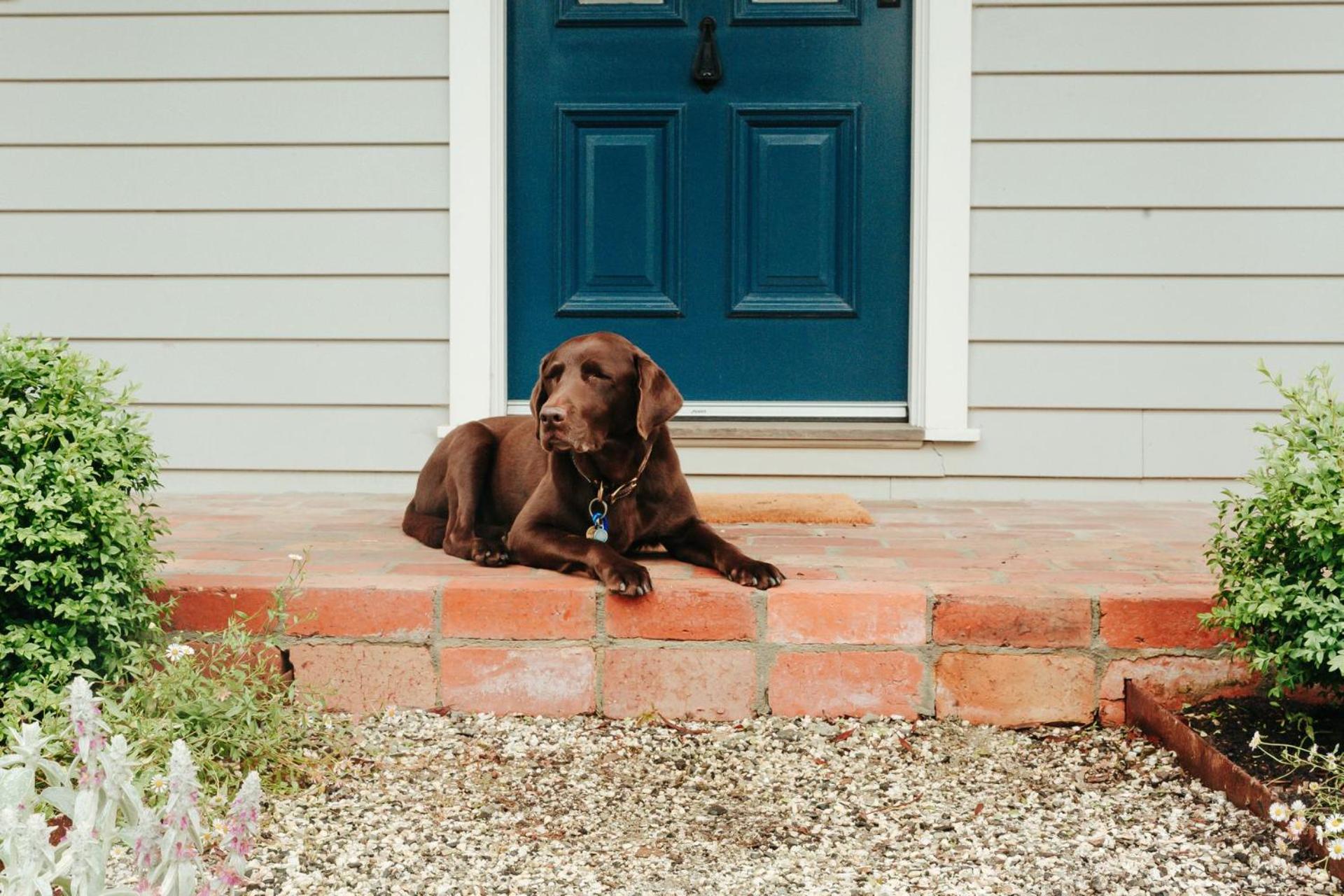 Dorothea- stylishly designed home in Trentham