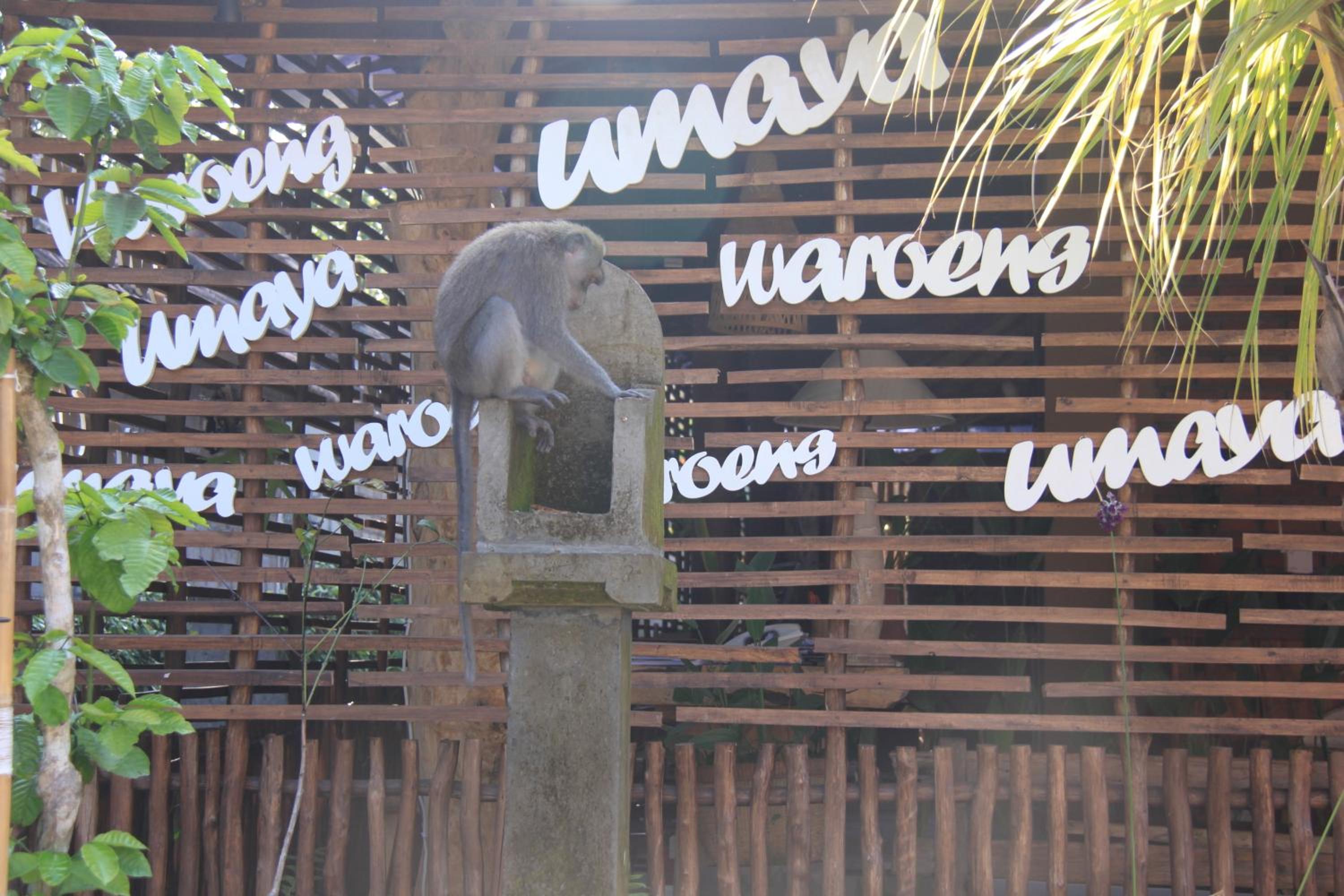 Umaya Ubud Villa