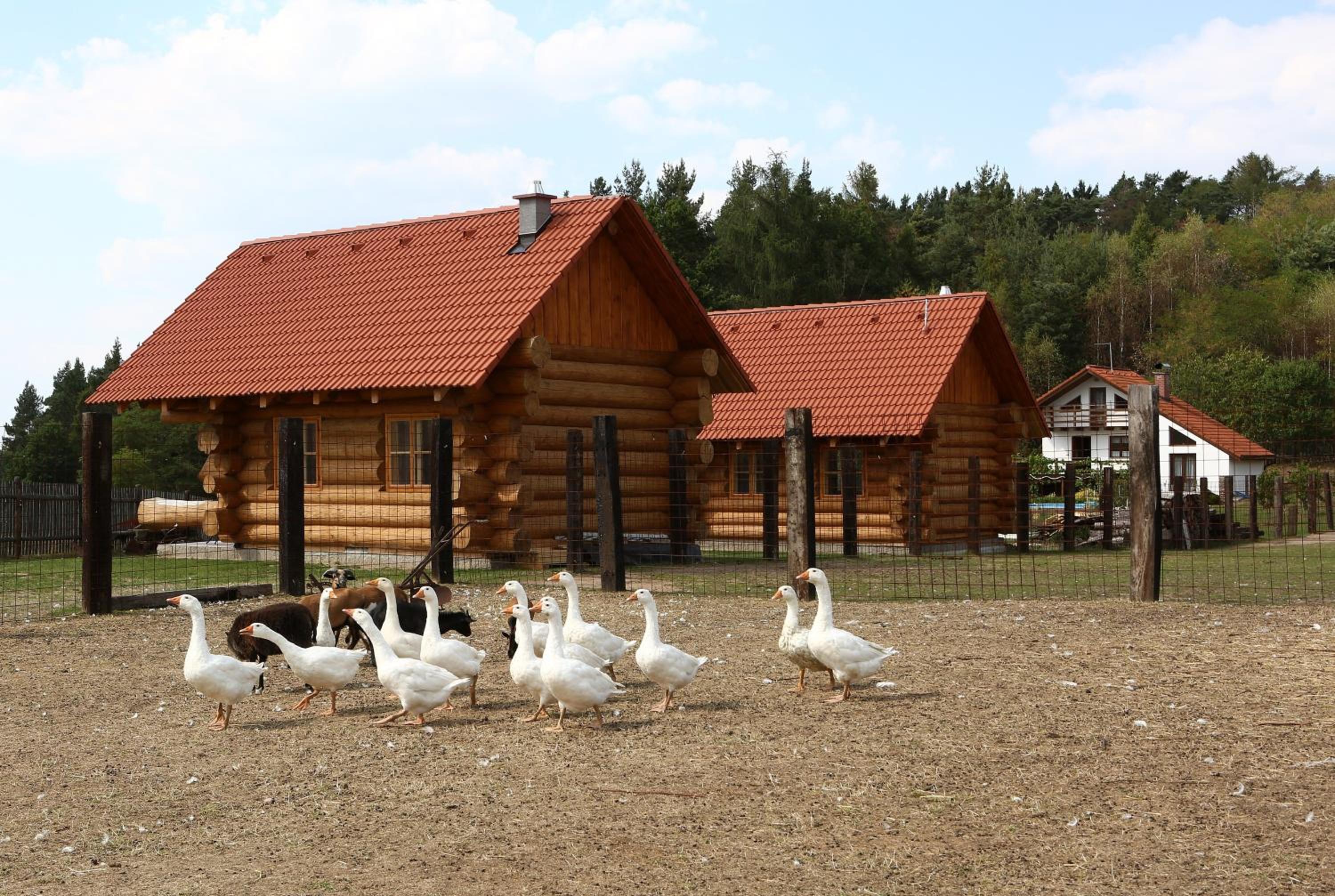 Na Samotě Ve Srubu