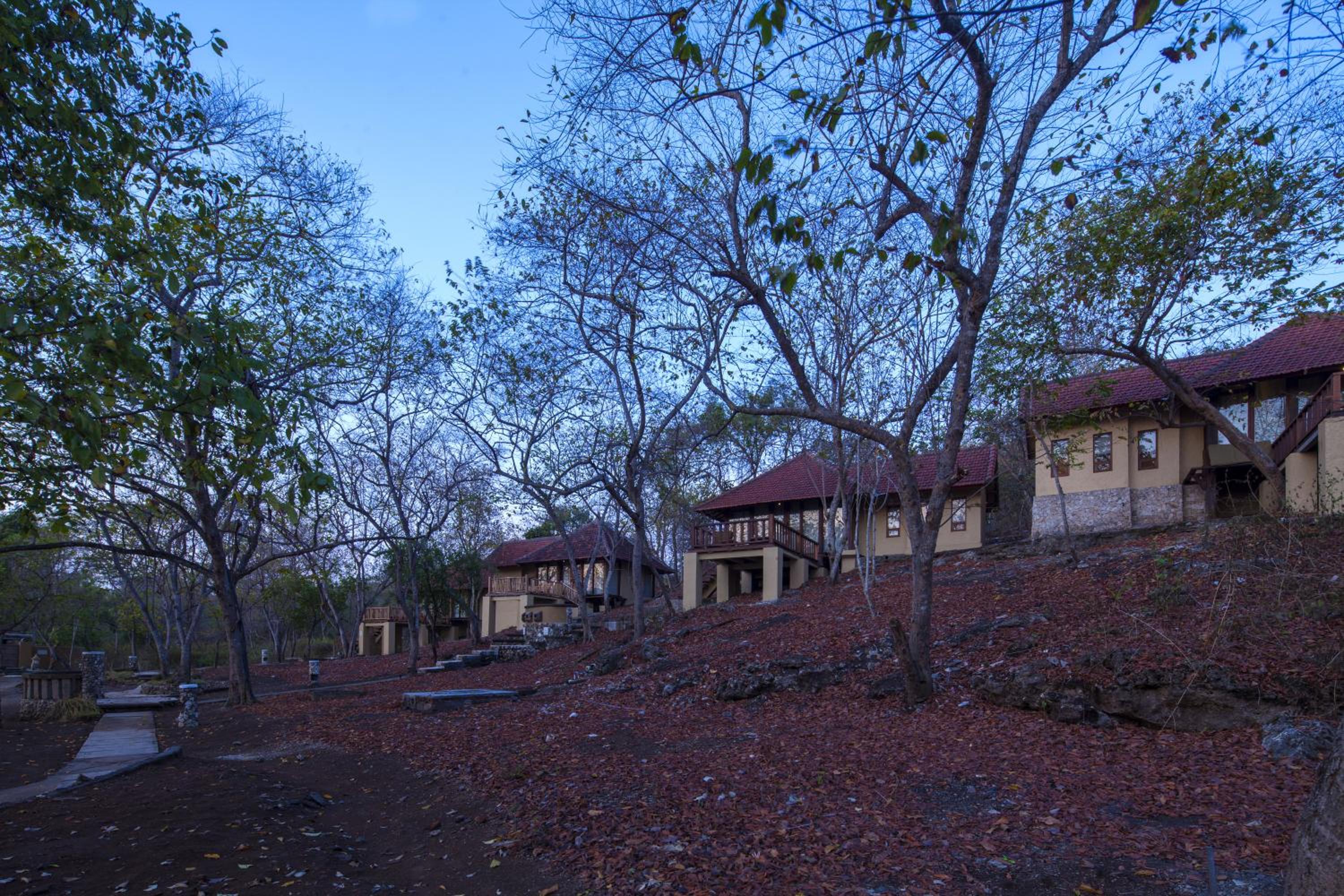 Photo 46