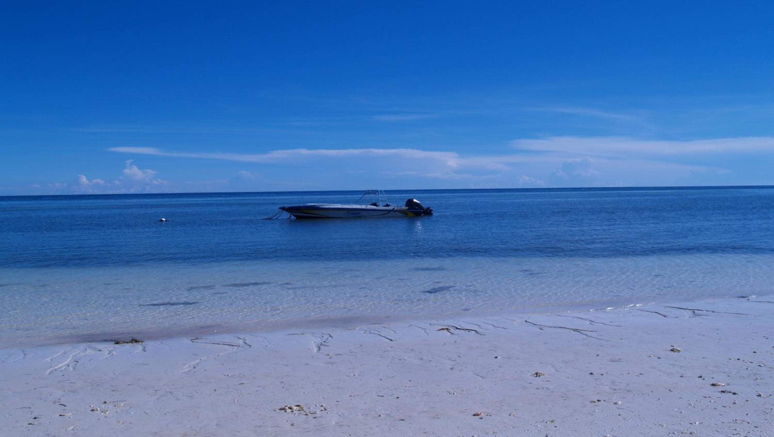 Anda White Beach Resort