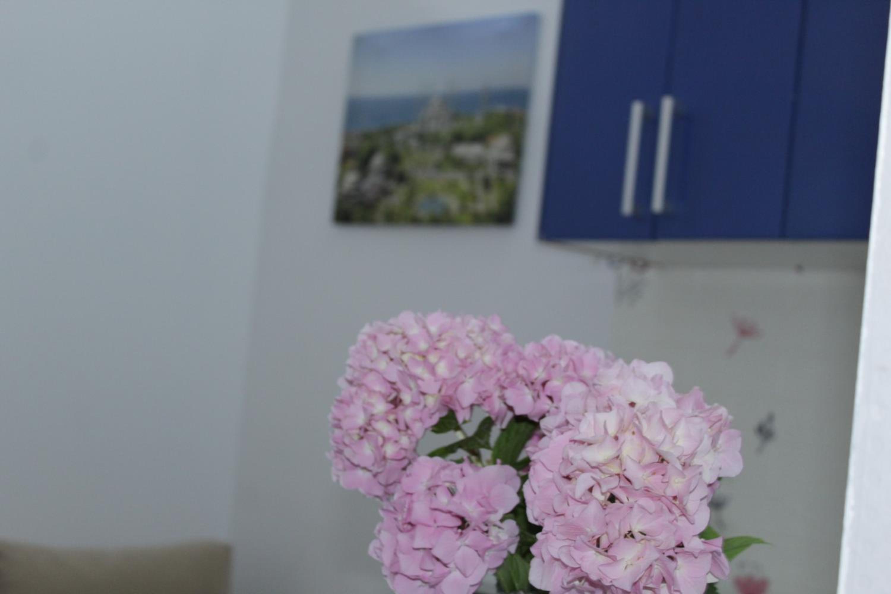 Studio center of city