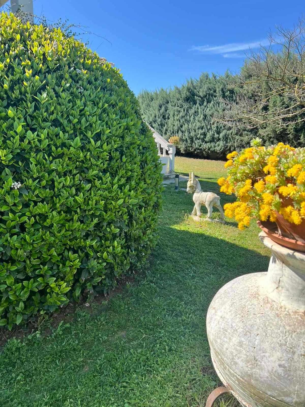 Dimis Garden Villa view 3