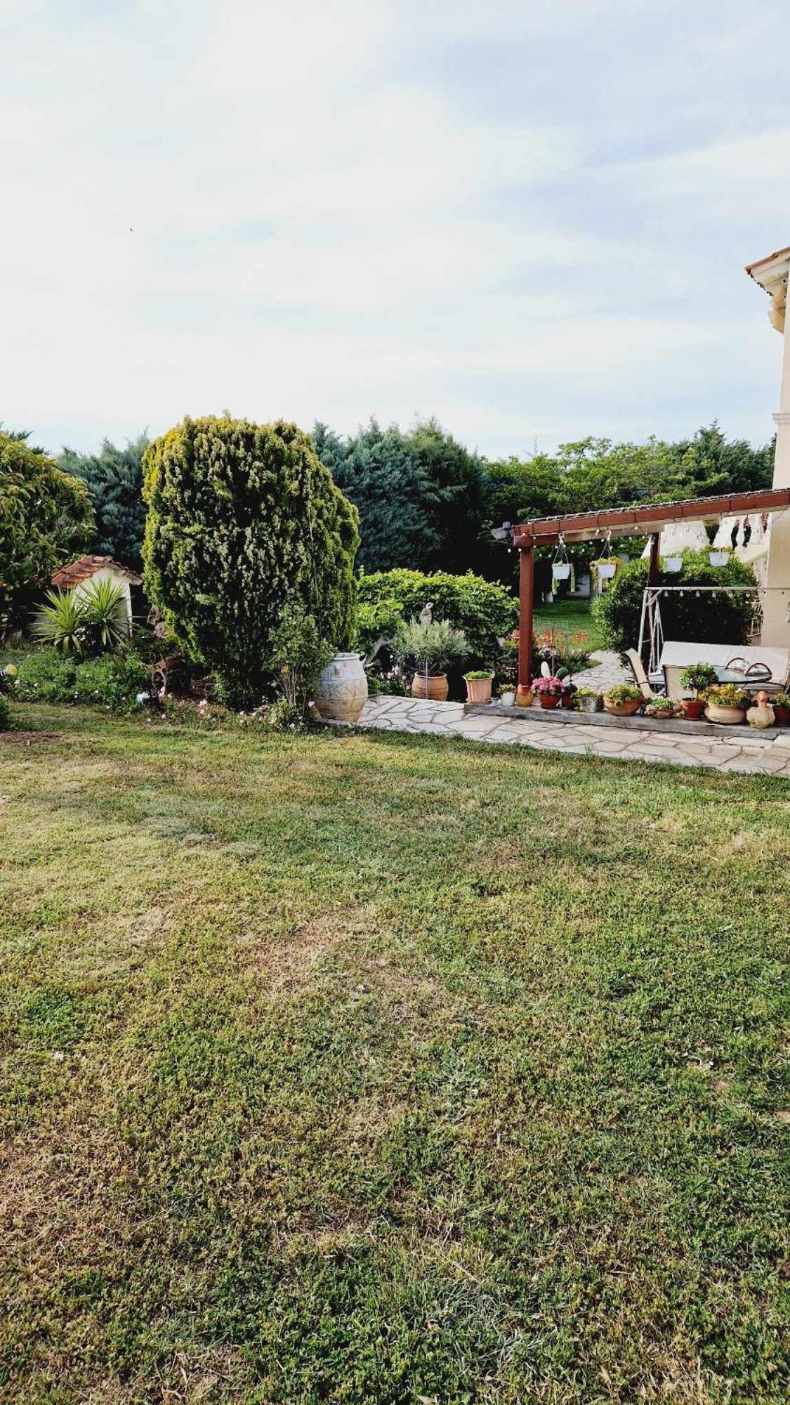 Dimis Garden Villa view 4