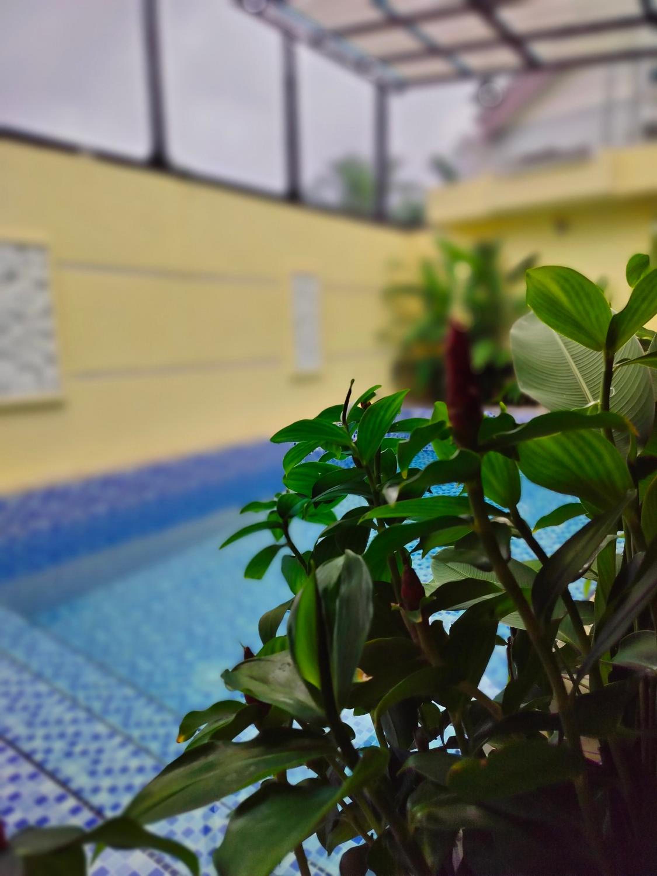 Siti Hawa's Cottage photo 8