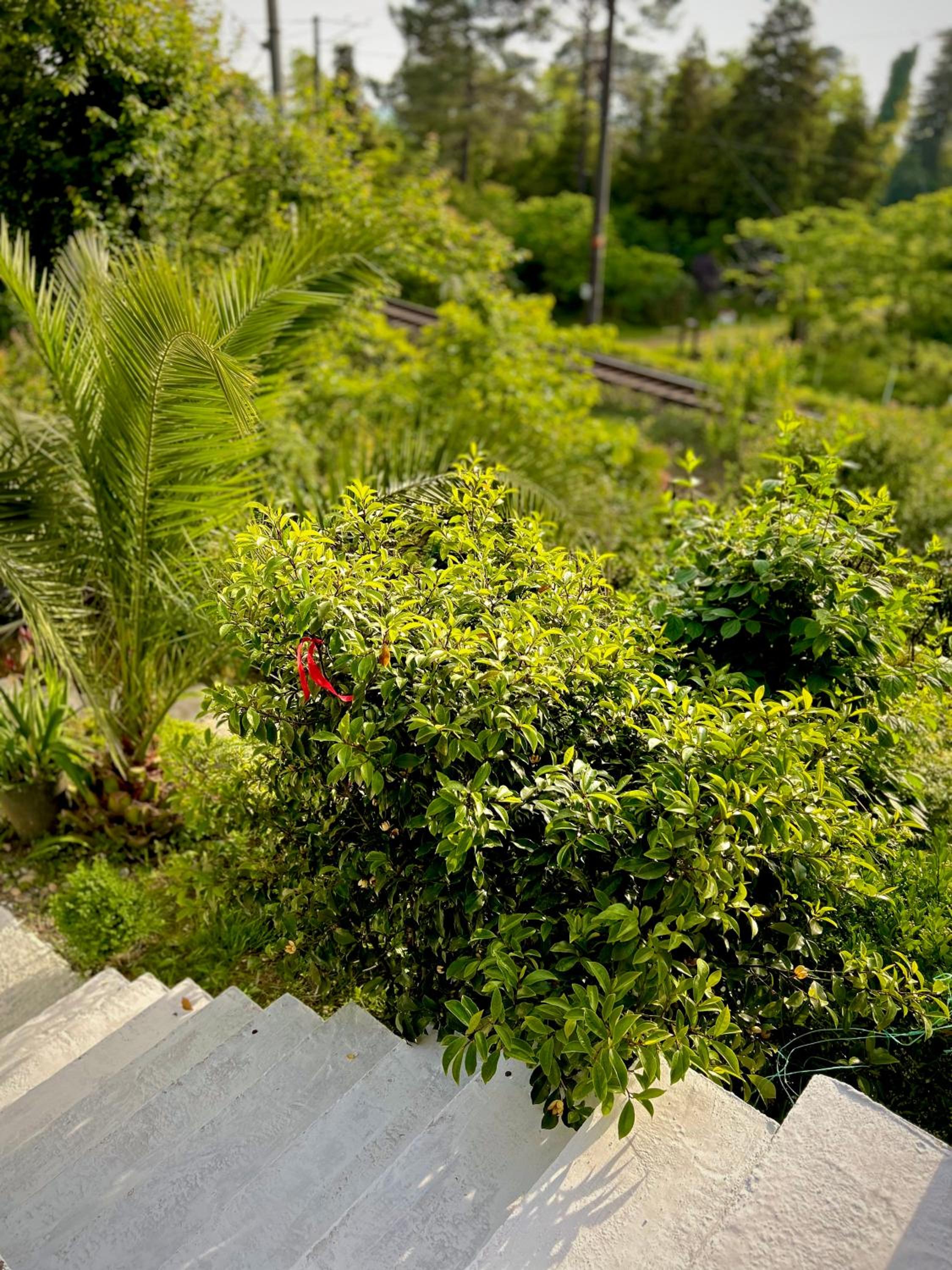 Villa Paradise