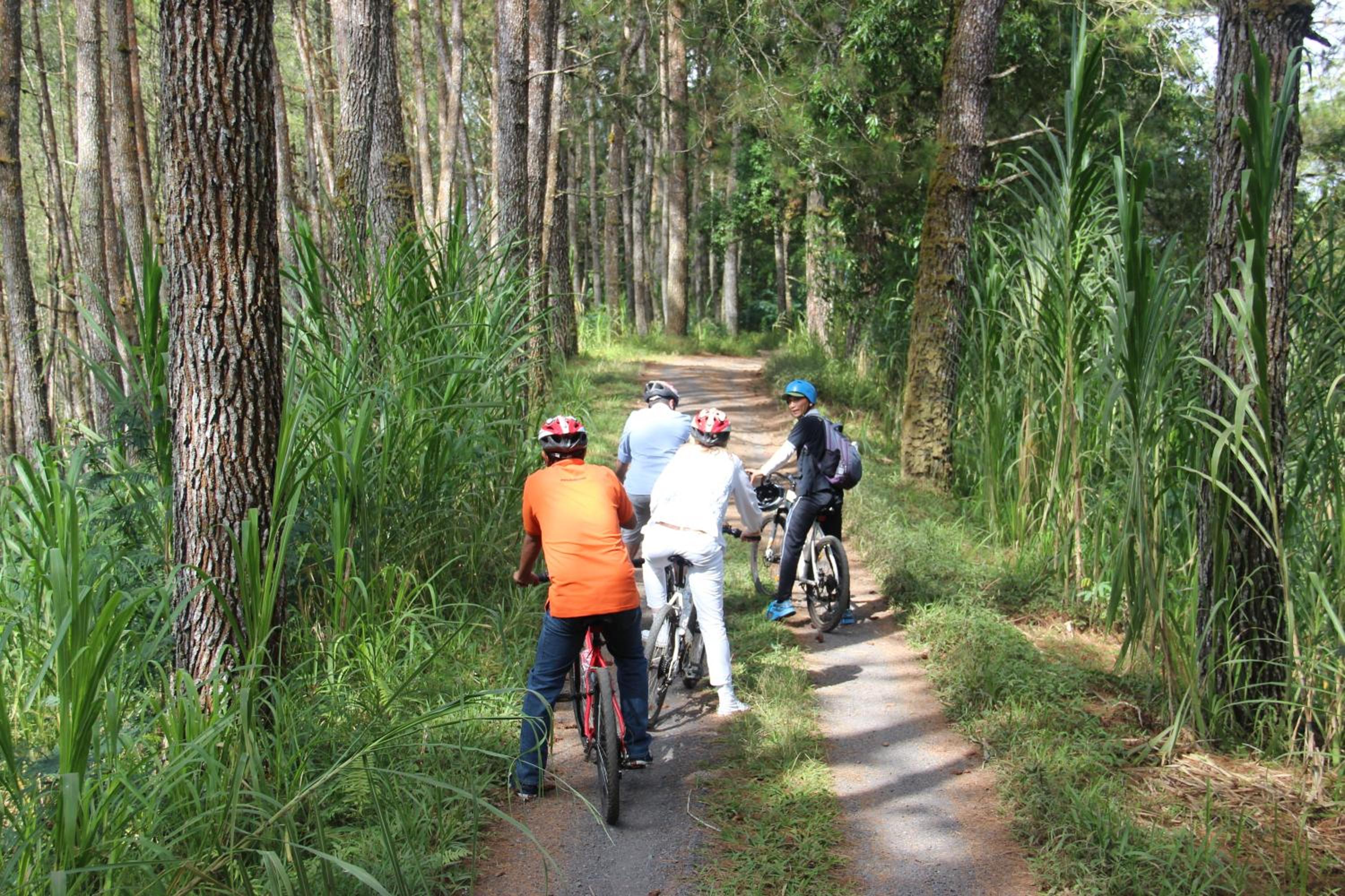 De Klumpu Bali Eco Tradi Stay