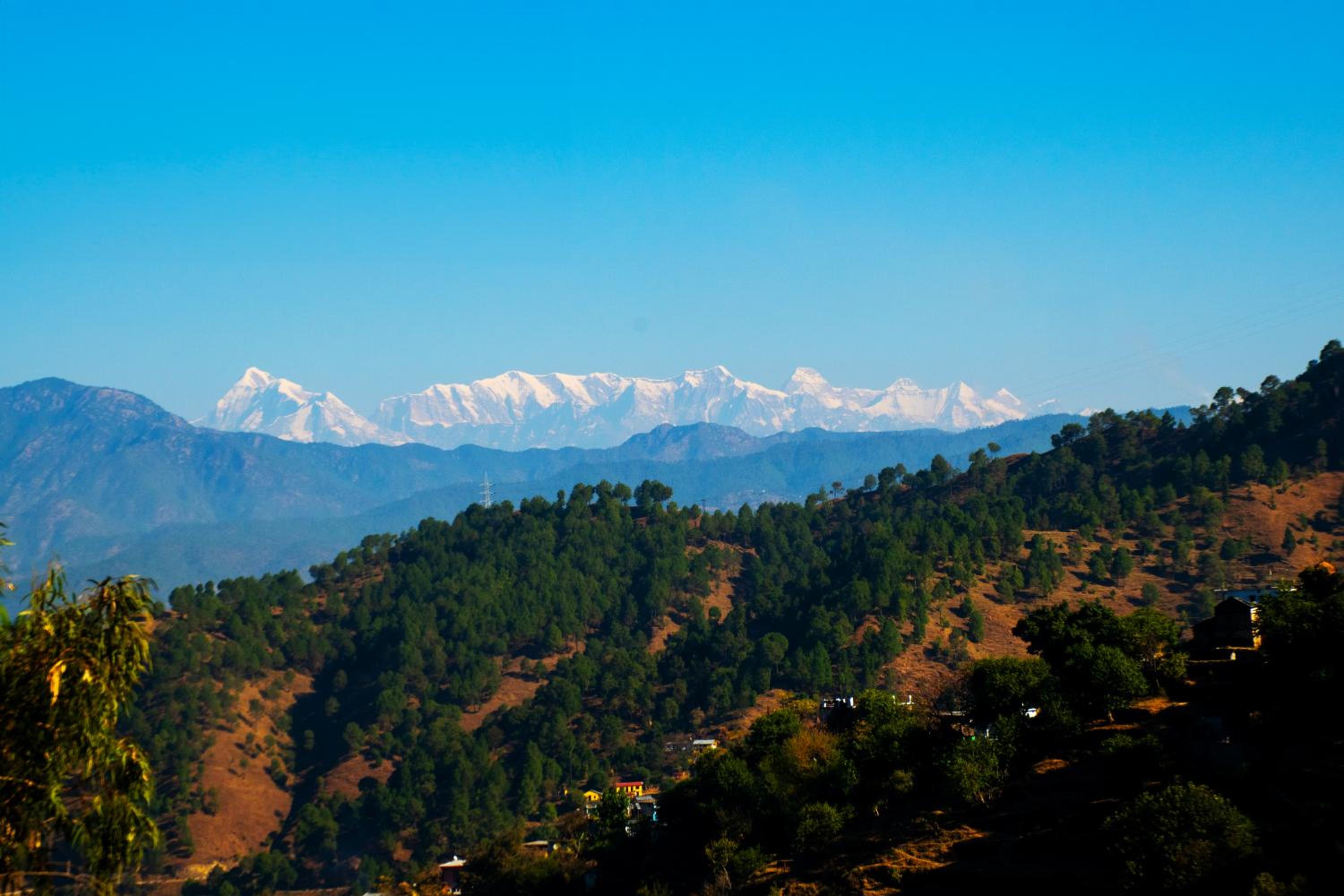 Hill view homestay Ranikhet view 2